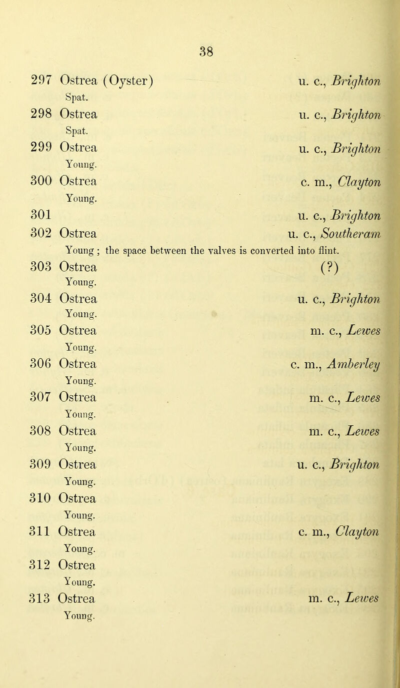 297 Ostrea (Oyster) Spat. 298 Ostrea Spat. 299 Ostrea Young. 300 Ostrea Young. 301 302 Ostrea Young ; the space between the 303 Ostrea Young. 304 Ostrea Young. 305 Ostrea Young. 306 Ostrea Young. 307 Ostrea Young. 308 Ostrea Young. 309 Ostrea Young. 310 Ostrea Young. 311 Ostrea Young. 312 Ostrea Young. 313 Ostrea Young. u. c., Brighton u. c., Brighton u. c., Brighton c. m., Clayton u. c., Brighton u. c., Southeram ves is converted into flint. (?) u. c., Brighton m. c., Lewes c. m., Amherley m. c., Lewes m. c., Lewes u. c., Brighton c. m., Clayton m. c., Lewes