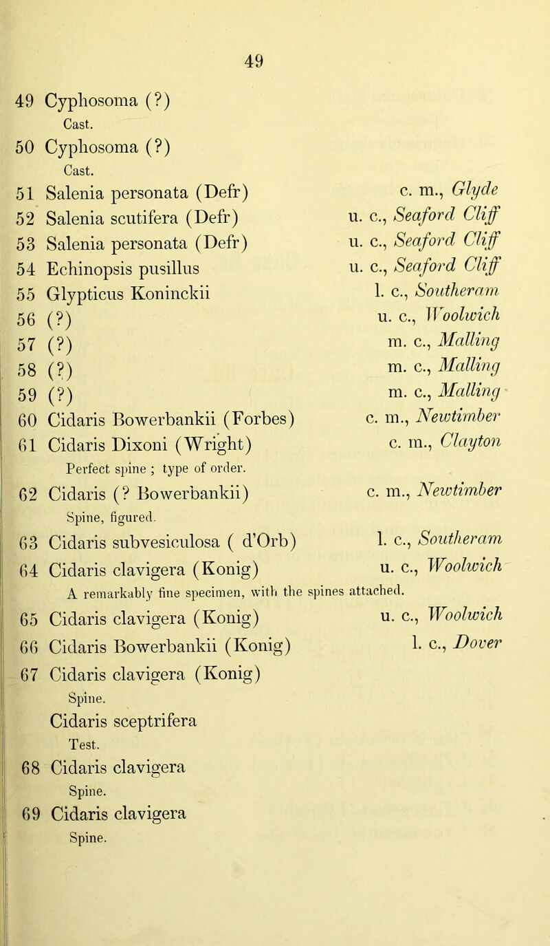 49 Cypliosoma (?) Cast. 50 Cypliosoma (?) Cast. 51 Salenia personata (Defr) c. m., Glyde 52 Salenia scutifera (Defr) u. c., Seaford Cliff 53 Salenia personata (Defr) u. c., Seaford. Cliff 54 Echinopsis pusillus u. c., Seaford Cliff 55 Glypticus Koninckii 1. c., Souther am 56 (?) u. c., Woolwich 57 (?) m. c., Mailing 58 (?) m. c., Mailing 59 (?) m. c., Mailing 60 Cidaris Bowerbankii (Forbes) c. m., Newtimber 61 Cidaris Dixoni (Wright) c. m., Clayton Perfect spine ; type of order. 62 Cidaris (? Bowerbankii) c. m., Neivtimber Spine, figured. 63 Cidaris snbvesiculosa ( d’Orb) 1. c., Southeram 64 Cidaris clavigera (Konig) u. c., Woolwich A remarkably fine specimen, with the spines attached. 65 Cidaris clavigera (Konig) u. c., Woolwich 66 Cidaris Bowerbankii (Konig) 1. c., Dover 67 Cidaris clavigera (Konig) Spine. Cidaris sceptrifera Test. 68 Cidaris clavigera Spine. 69 Cidaris clavigera Spine.