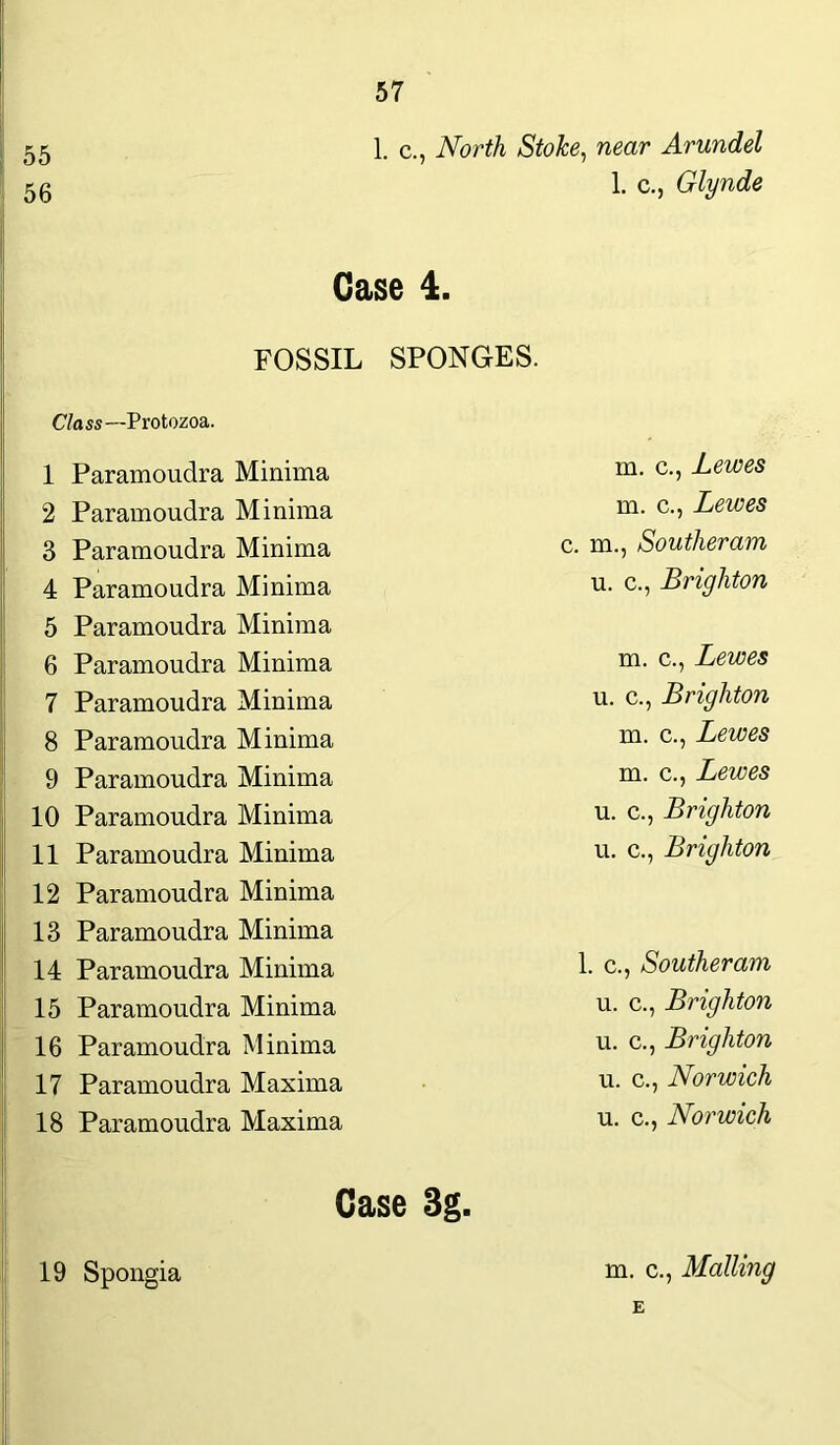 1. c., North Stoke, near Arundel 1. c., Glynde Case 4. FOSSIL SPONGES. Class—Protozoa. 1 Paramoudra Minima m. c., Lewes 2 Paramoudra Minima m. c., Lewes 3 Paramoudra Minima c. m., Southeram 4 Paramoudra Minima u. c., Brighton 5 Paramoudra Minima 6 Paramoudra Minima m. c., Lewes 7 Paramoudra Minima u. c., Brighton 8 Paramoudra Minima m. c., Lewes 9 Paramoudra Minima m. c., Lewes 10 Paramoudra Minima u. c., Brighton 11 Paramoudra Minima u. c., Brighton 12 Paramoudra Minima 13 Paramoudra Minima 14 Paramoudra Minima 1. c., Southeram, 15 Paramoudra Minima u. c., Brighton 16 Paramoudra Minima u. c., Brighton 17 Paramoudra Maxima u. c., Norwich 18 Paramoudra Maxima u. c., Norwich Case 3g. 19 Spongia m. c., Mailing E