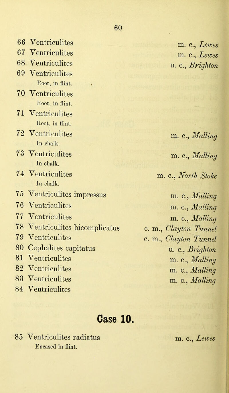 66 Ventriculites m. c., Lewes 67 Ventriculites m. c., Lewes 68 Ventriculites 69 Ventriculites Root, in flint. 70 Ventriculites Root, in flint. 71 Ventriculites Root, in flint. u. c., Brighton 72 Ventriculites In chalk. m. c., Mailing 73 Ventriculites In chalk. m. c., Mailing 74 Ventriculites In chalk. m. c,, North Stoke 75 Ventriculites impressus m. c., Mailing 76 Ventriculites m. c., Mailing 77 Ventriculites m. c., Mailing 78 Ventriculites bicomplicatus c. m., Clayton Tunnel 79 Ventriculites c. m., Clayton Tunnel 80 Cephalites capitatus u. c., Brighton 81 Ventriculites m. c., Mailing 82 Ventriculites m. c., Mailing 83 Ventriculites 84 Ventriculites Case 10. m. c., Mailing 85 Ventriculites radiatus Encased in flint.