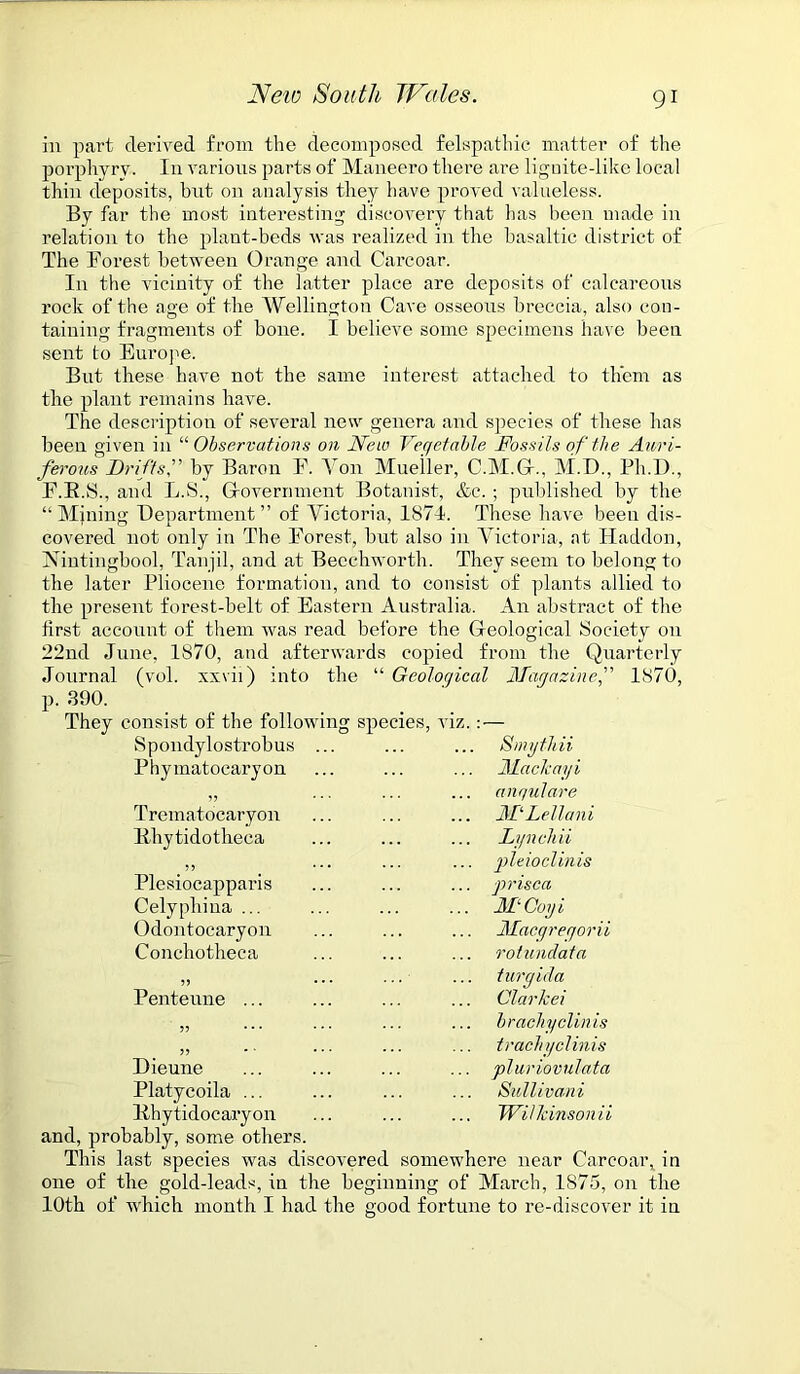 in part derived from the decomposed felspatliic matter of the porphyry. In various parts of Maneero there are lignite-like local thin deposits, but 011 analysis they have proved valueless. By far the most interesting discovery that has been made in relation to the plant-beds was realized in the basaltic district of The Forest between Orange and Carcoar. I11 the vicinity of the latter place are deposits of calcareous rock of the age of the Wellington Cave osseous breccia, also con- taining fragments of bone. I believe some specimens have been sent to Europe. But these have not the same interest attached to them as the plant remains have. The description of several new genera and species of these has been given in “ Observations on Neiv Vegetable Fossils of the Auri- ferous Driftsby Baron F. Yon Mueller, C.M.G., M.D., Pli.l)., F.B.S., and L.S., G-overrmient Botanist, &c. ; published by the “Mining Department ” of Victoria, 1874. These have been dis- covered not only in The Forest, but also in Victoria, at Haddon, Nintingbool, Tanjil, and at Beechworth. They seem to belong to the later Pliocene formation, and to consist of plants allied to the present forest-belt of Eastern Australia. An abstract of the first account of them was read before the Geological Society on 22nd June, 1870, and afterwards copied from the Quarterly Journal (vol. xxvii) into the “ Geological Magazine,” 1870, p. 390. They consist of the following spec Spondylostrobus Phymatocaryon es, viz.: — Smythii Made ay i anqulare Trematocaryon Ehytidotheca Plesiocapparis Celypliiua ... Odontocaryon Conchotheca Penteune ... MDellani Lynchii pleioclinis prison MCoyi Macgregorii rotunc/ata turgida Clarkei bradiyclinis trachyclinis Dieune ... ... ... ... pluriovulata Platycoila ... ... ... ... Sullivani Bbytidoearyon ... ... ... Willdnsonii and, probably, some others. This last species was discovered somewhere near Carcoar, in one of the gold-leads, in the beginning of March, 1875, on the 10th of which month I had the good fortune to re-discover it in