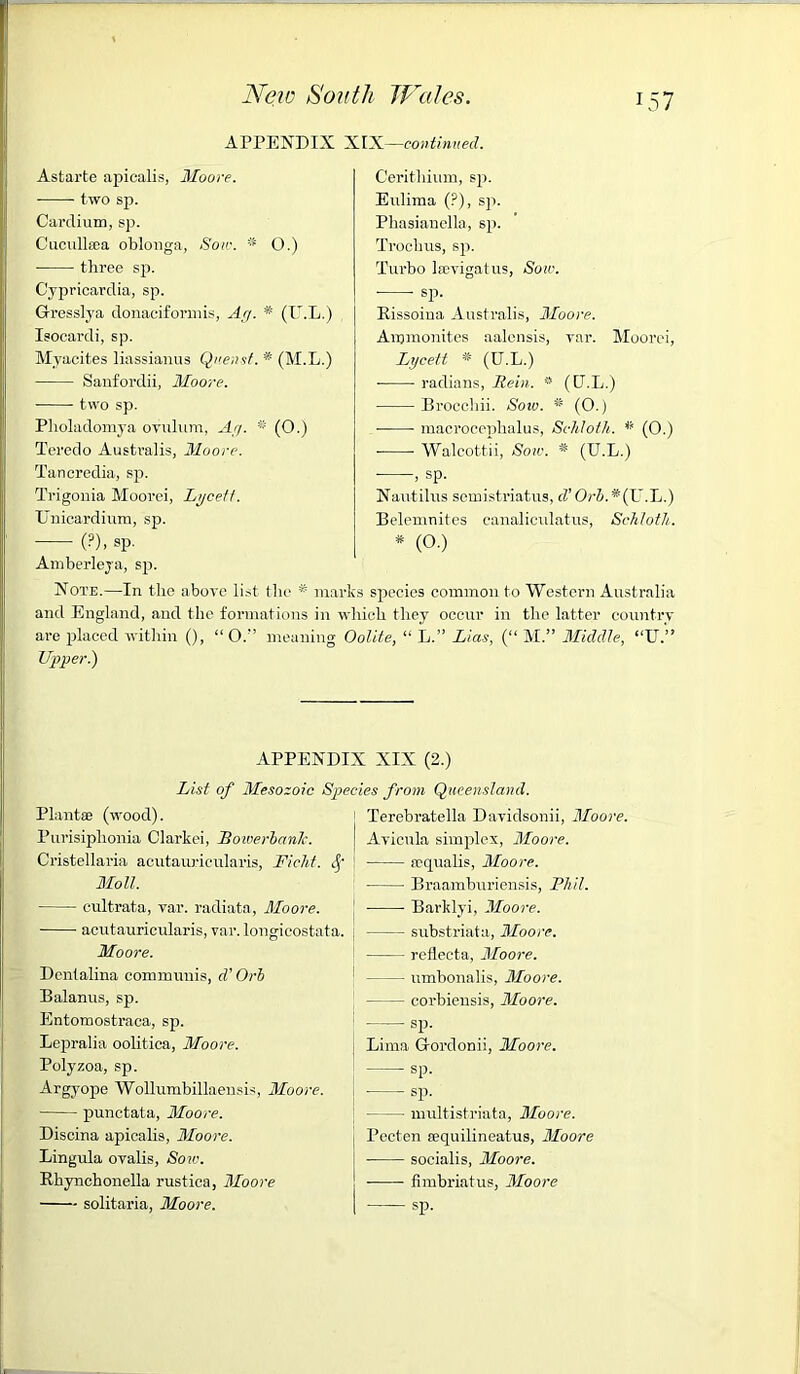 Astarte apiealis, Moore. - two sp. Carclium, sp. Cucullsea oblonga, Soic. * ■ three sp. Cypricardia, sp. Gresslya donaciformis, Ay. * (U.L.) Isocardi, sp. Myacites liassianus Quenst. '* (M.L.) Sanfordii, Moore. two sp. Pholadomya ovulum, Ay. * (O.) Teredo Australis, Moore. Tancredia, sp. Trigonia Mooi’ei, Lycett. Unicardium, sp. (?), SP- Cerithium, sp. Eulima (?), sp. Phasianella, sp. Trochus, sp. Turbo lsevigatus, Sow. sp. Rissoina Australis, Moore. Ammonites aalensis, rar. Moorei, Lycett * (U.L.) • radians, Rein. (U.L.) Brocchii. Soiv. * (0.) macrocephalus, Schloth. * (0.) Walcottii, Sow. * (U.L.) , sp. Nautilus semistriatus, (L’Orh.*{L'.L.) Belemnites canaliculatus, Schloth. * (O.) Amberleya, sp. Note.—In the above list the # marks species common to Western Australia and England, and the formations in which they occur in the latter country are placed within (), “Os’ meaning Oolite, “ L.” Lias, (“ M.” Middle, “U.” Upper.) APPENDIX XIX—continued. O.) APPENDIX XIX (2.) List of Mesozoic Species from Queensland. Plantse (wood). Purisiphonia Clarkei, Bowerbanlc. Cristellaria acutauricularis, Ficht. Sf Moll. cultrata, var. radiata, Moore. acutauricularis, var. longicostata. Moore. DcSalina communis, d' Orb Balanus, sp. Entomostraca, sp. Lepralia oolitica, Moore. Polyzoa, sp. Argyope Wollumbillaensis, Moore. punctata, Moore. Discina apiealis, Moore. Lingula ovalis, Sow. Rhynchonella rustica, Moore solitaria, Moore. Terebratella Davidsonii, Moore. Avicula simplex, Moore. re quads, Moore. Braamburiensis, Phil. Barklyi, Moore. substriata, Moore. reflecta, Moore. umbonalis, Moore. corbiensis, Moore. sp. Lima Grordonii, Moore. sp. sp. multistriata, Moore. Pecten a?quilineatus, Moore ■ socialis, Moore. ■ fimbriatus, Moore sp.
