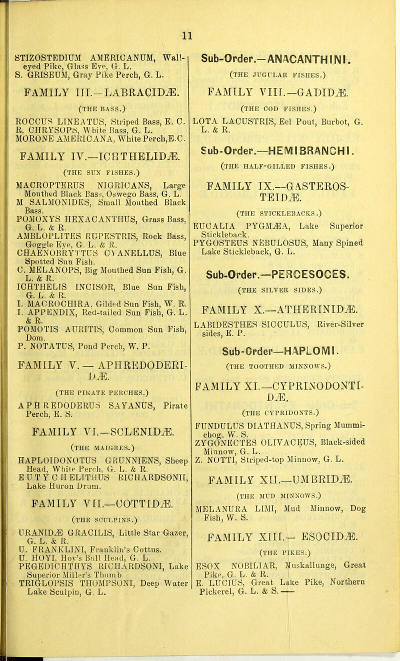 STIZOSTEDIUM AMERICANUM, Wall- eyed Pike, Glass Eye, G. L. S. GRISEUM, Gray Pike Perch, G. L. FAMILY III.-LABRACID^. (THE BASS.) ROCCUS LINEATUS, Striped Bass, E. C. R. OHRYSUPS, White Bass, G. L. MORONE AMERICANA, White Perch,E.C. FAMILY IV.—lOIITHELID^. (THE SUN FISHES.) MACROPTERUS NIGRICANS, Large Mouthed Black Bass, Oswego Bass, G. L. M SALMONIDES, Small Mouthed Black Bass. POMOXYS HEXACANTHUS, Grass Bass, G. L. R. AMBLOPLITES RUPESTRIS, Rock Bass, Goggle Eye, G. L. & R. CHAENOBRYTTUS CIANELLUS, Blue Spotted Sun Fish. C. MELANOPS, Big Mouthed Sun Fish, G. L. & R. ICHTHELIS INCISOR, Blue Sun Fish, G. L. & R. I. MACROCHIRA, Gilded Sun Fish, W. R. I. APPENDIX, Red-tailed Sun Fish, G. L. & R. POMOTIS AURITIS, Common Sun Fish, Dom. P. NOTATUS, Pond Perch, W. P. FAMILY V.—APHREDODEEI- L.E. (THE PIRATE PERCHES.) APHREDODBRUS SAYANUS, Pirate Perch, E. S. FAMILY VI.—SCLENID^. (the maigres.) HAPLOIDONOTUS GRUNNIENS, Sheep Head, White Perch, G. L. & R. EUTYC HELITHUS RICHARDSONII, Lake Huron Dram. FAMILY VII.—OOTTIEJi:. (the sculpins.) URANIDA: gracilis. Little Star Gazer, G. L. & R. U. FRANKLINI, Frauklin’s Cottus. U. HOYI, Hoy’s Bull Head, G. L. PEGEDICHTHYS RICHARDSONI, Lake Superior Miller’s Thumb TRIGLOPSIS THOMPSONI, Deep Water Lake Sculpin, G. L. Sub-Order.-ANACANTH INI. (the jugular fishes.) FAMILY VIIT.—GADID^. (THE COD fishes.) LOTA LACUSTRIS, Eel Pout, Burbot, G. L. & R. Sub-Order.—HEIVII BRANCH I. (the half-gilled fishes.) FAMILY IX.—GASTEROS- TEID^. (THE STICKLEBACKS.) EUCALIA PYGM^A, Lake Superior Stickleback. PYGOSTEUS NEBULOSUS, Many Spined Lake Stickleback, G. L. Sub-Order.—PERCESOCES. (THE SILVER SIDES.) FAMILY X.—ATHERINIDiE. LABIDESTHES SICCULDS, River-Silver sides, E. P. Sub-Order—HAPLOIVII. (the toothed minnows.) FAMILY XI.—CYPRINODONTI- DM. (the cypridonts.) FUNDULUS DIATHANDS, Spring Mummi- chog, W. S. ZYGONECTES OLIVAC^US, Black-sided Minnow, G. L. Z. NOTTI, Striped-top Minnow, G. L. FAMILY XII.—UMBRIDGE. (the mud minnows.) MELANURA LIMI, Mud Minnow, Dog Fish, W. S. FAMILY XIII.— ESOCID.®. (the pikes.) ESOX NOBILIAR, Muskallunge, Great Pike, G. L. & R. E. LUCIUS, Great Lake Pike, Northern Pickerel, G. L. & S.