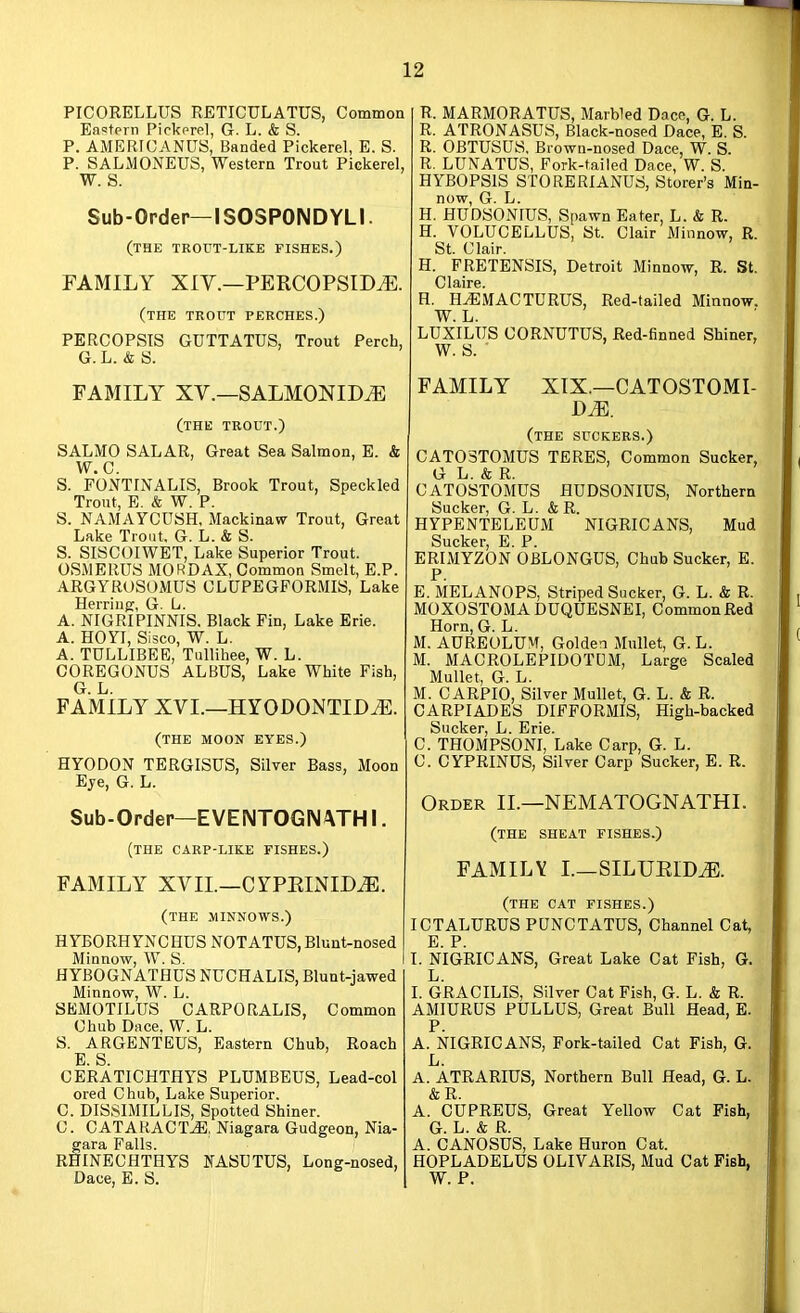 PICORELLUS RETICULATUS, Common Eastern Pickerel, G. L. & S. P. AMERICANUS, Banded Pickerel, E. S. P. SALMONEUS, Western Trout Pickerel, W. S. Sub-Order—ISOSPONDYLI. (the trout-like fishes.) FAMILY XIY.—PERCOPSID^. (the trout perches.) PERCOPSIS GUTTATUS, Trout Perch, G. L. & S. FAMILY XV.—SALMONID^ (THE TROUT.) SALMO SALAR, Great Sea Salmon, E. & W.C. S. FOXTINALIS, Brook Trout, Speckled Trout, E. & W. P. S. NAMAYCUSH, Mackinaw Trout, Great Lake Trout, G. L. & S. S. SISCOIWET, Lake Superior Trout. OSMERUS MORDAX, Common Smelt, E.P. ARGYROSOMUS CLUPEGFORMIS, Lake Herriug, G. L. A. NIGRIPINNIS. Black Fin, Lake Erie. A. HOYI, Sisco, W. L. A. TULLIBEE, Tullihee, W. L. COREGONUS ALBUS, Lake White Fish, G. L. FAMILY XVI.—HYODONTID^. (THE MOON EYES.) HYODON TERGISUS, Silver Bass, Moon Eye, G. L. Sub-Order—EVENTOGNi\TH I. (the carp-like fishes.) FAMILY XVIL—CYPEINIM. (the minnows.) HYBORHYNCHUS NOTATUS, Blunt-nosed Minnow, W. S. HYBOGNATHUS NUCHALIS, Blunt-jawed Minnow, W. L. SEMOTILUS CARPORALIS, Common Chub Dace, W. L. S. ARGENTEUS, Eastern Chub, Roach E S CERATICHTHYS PLUMBEUS, Lead-col ored Chub, Lake Superior. C. DISSIMILLIS, Spotted Shiner. C. CATARACTj®, Niagara Gudgeon, Nia- gara Falls. RHINECHTHYS NASDTUS, Long-nosed, Dace, E. S. R. MARMORATUS, Marbled Dace, G. L. R. ATRONASUS, Black-nosed Dace, E. S. R. OBTUSDS, Brown-nosed Dace, W. S. R. LTJNATDS, Fork-tailed Dace, W. S. HYBOPSIS STORERIANUS, Storer’s Min- now, G. L. H. HUDSONIUS, Spawn Eater, L. & R. H. VOLUCELLUS, St. Clair Minnow, R. St. Clair. H. FRETENSIS, Detroit Minnow, R. St. Claire. H. H^MACTURUS, Red-tailed Minnow. W. L. LUXILUS CORNUTUS, Red-finned Shiner, W. s. ■ FAMILY XIX.—CATOSTOMI- DM. (the suckers.) CAT03T0MUS TERES, Common Sucker, G L. & R. CATOSTOMUS HUDSONIUS, Northern Sucker, G. L. & R. HYPENTELEUM NIGRICANS, Mud Sucker, E. P. ERIMYZON OBLONGUS, Chub Sucker, E. P. E. MELANOPS, Striped Sucker, G. L. & R. MOXOSTOMADUQUESNEI, CommonRed Horn, G. L. M. AUREOLUM, Golden Mullet, G. L. M. MACROLEPIDOTDM, Large Scaled Mullet, G. L. M. CARPIO, Silver Mullet, G. L. & R. CARPIADBS DIFFORMIS, High-backed Sucker, L. Erie. C. THOMPSON!, Lake Carp, G. L. C. CYPRINUS, Silver Carp Sucker, E. R. Order II.—NEMATOGNATHI. (the sheat fishes.) FAMILY I.—SILUEID^. (the cat fishes.) ICTALURUS PUNCTATUS, Channel Cat, E P I. NIGRICANS, Great Lake Cat Fish, G. L. I. GRACILIS, Silver Cat Fish, G. L. & R. AMIURUS PULLUS, Great Bull Head, E. P. A. NIGRICANS, Fork-tailed Cat Fish, G. L. A. ATRARIUS, Northern Bull Head, G. L. &R. A. CUPREUS, Great Yellow Cat Pish, G. L. & R. A. CANOSUS, Lake Huron Cat. HOPLADELUS OLIVARIS, Mud Cat Fish, W. P.