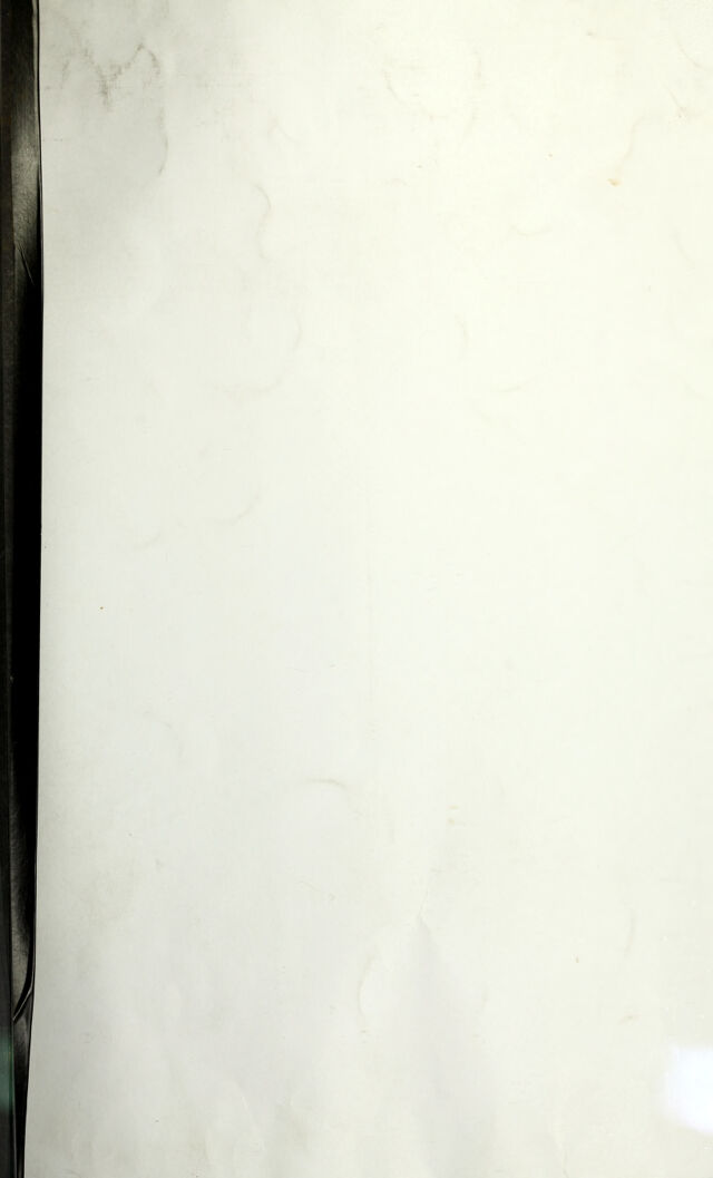 digitised image 1