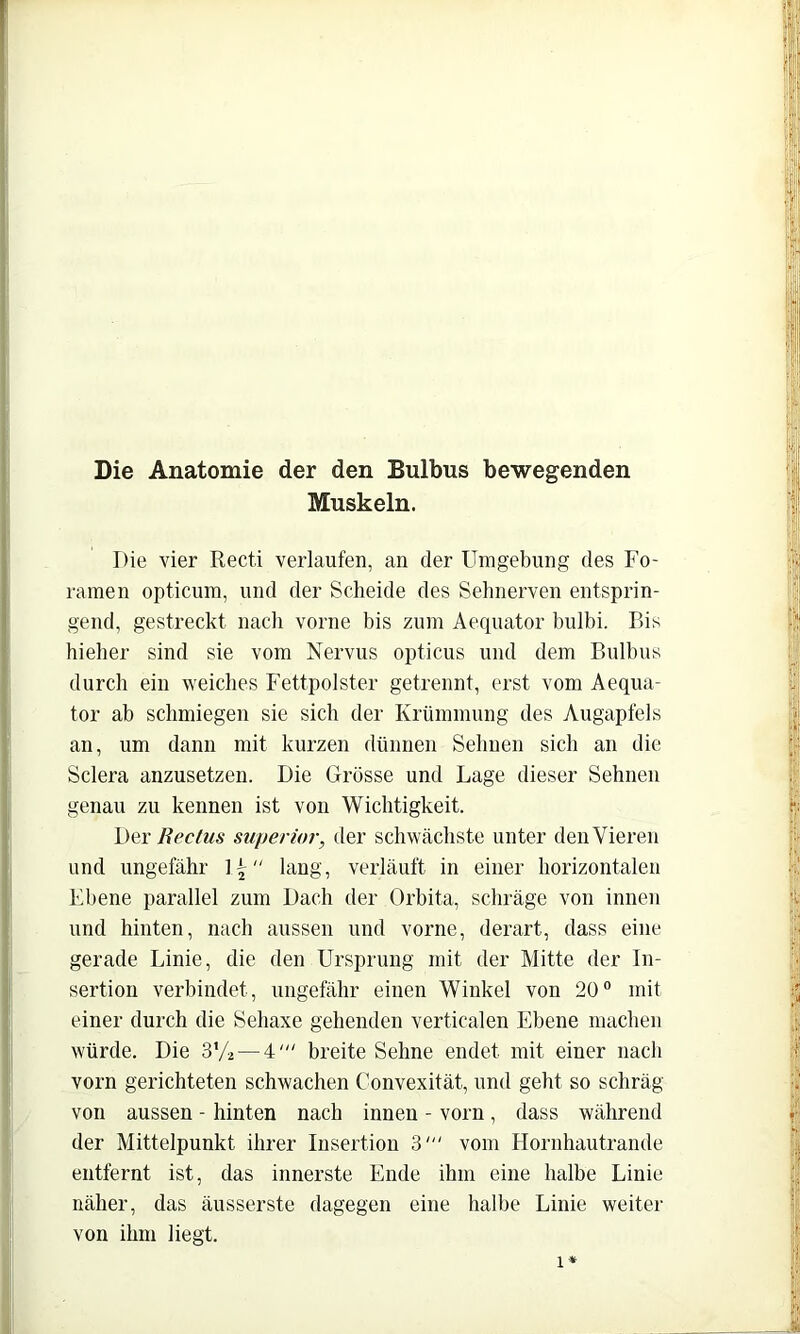 Die Anatomie der den Bulbus bewegenden Muskeln. Die vier Rect.i verlaufen, an der Umgebung des Fo- ramen opticum, und der Scheide des Sehnerven entsprin- gend, gestreckt nach vorne bis zum Aequator hulbi. Bis hieher sind sie vom Nervus opticus und dem Bulbus durch ein weiches Fettpolster getrennt, erst vom Aequa- tor ab schmiegen sie sich der Krümmung des Augapfels an, um dann mit kurzen dünnen Sehnen sich an die Sclera anzusetzen. Die Grösse und Lage dieser Sehnen genau zu kennen ist von Wichtigkeit. \)Qx Reclus Superior, der schwächste unter den Vieren und ungefähr 1' lang, verläuft in einer horizontalen Fbene parallel zum Dach der Orbita, schräge von innen und hinten, nach aussen und vorne, derart, dass eine gerade Linie, die den Ursprung mit der Mitte der In- sertion verbindet, ungefähr einen Winkel von 20® mit einer durch die Seliaxe gehenden verticalen Ebene machen würde. Die S’A — 4' breite Sehne endet mit einer nach vorn gerichteten schwachen Convexität, und geht so schräg von aussen - hinten nach innen - vorn, dass während der Mittelpunkt ihrer Insertion 3' vom Hornhautrande entfernt ist, das innerste Ende ihm eine halbe Linie näher, das äusserste dagegen eine halbe Linie weiter von ihm liegt.