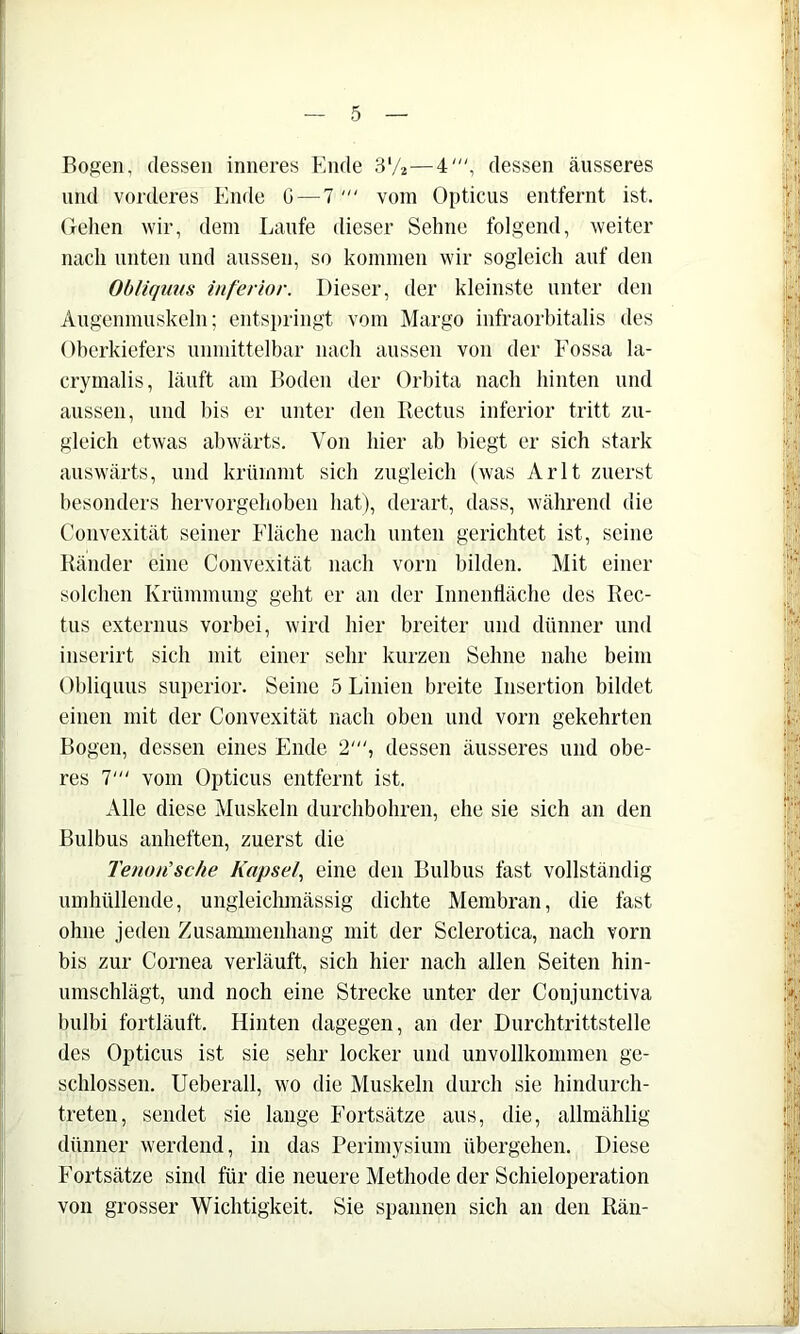 — 5 — Bogen, dessen inneres Ende S'A—4', dessen äusseres und vorderes Ende G — 7 vom Opticus entfernt ist. (fehen wir, dem Laufe dieser Sehne folgend, weiter nach unten und aussen, so kommen wir sogleicli auf den Obliqims inferior. Dieser, der kleinste unter den Augenmuskeln; entspringt vom Margo infraorbitalis des Oherkiefers unmittelbar nach aussen von der Eossa la- crymalis, läuft am Boden der Orbita nach hinten und aussen, und bis er unter den Rectus inferior tritt zu- gleich etwas abwärts. Von hier ab biegt er sich stark auswärts, und krümmt sich zugleich (was Arlt zuerst besonders hervorgehoben hat), derart, dass, während die Convexität seiner Eläche nach unten gerichtet ist, seine Ränder eine Convexität nach vorn bilden. Mit einer solchen Krümmung geht er an der Inneniläche des Rec- tus externus vorbei, wird hier breiter und dünner und inserirt sich mit einer sehr kurzen Sehne nahe beim Obliqims superior. Seine 5 Linien breite Insertion bildet einen mit der Convexität nach oben und vorn gekehrten Bogen, dessen eines Ende 2', dessen äusseres und obe- res 7' vom Opticus entfernt ist. Alle diese Muskeln durchbohren, ehe sie sich an den Bulbus anheften, zuerst die Tenon’sche Kapsel, eine den Bulbus fast vollständig umhüllende, ungleichmässig dichte Membran, die fast ohne jeden Zusammenhang mit der Sclerotica, nach vorn bis zur Cornea verläuft, sich hier nach allen Seiten hin- umschlägt, und noch eine Strecke unter der Conjunctiva bulbi fortläuft. Hinten dagegen, an der Durchtrittstelle des Opticus ist sie sehr locker und unvollkommen ge- schlossen. Ueberall, wo die Muskeln durch sie hindurch- treten, sendet sie lange Eortsätze aus, die, allmählig dünner werdend, in das Perimysium übergehen. Diese Eortsätze sind für die neuere Methode der Schieioperation von grosser Wichtigkeit. Sie spannen sich an den Rän-