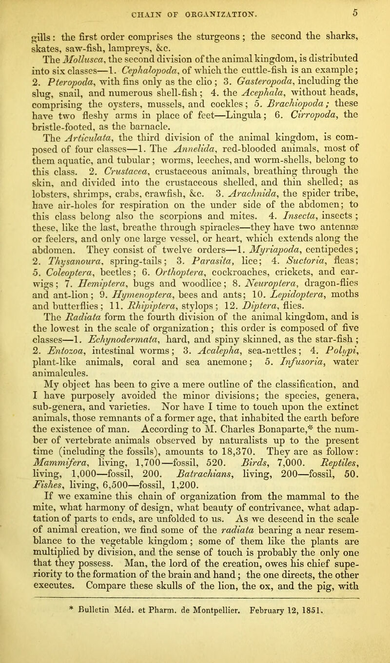 CHAIN OF ORGANIZATION. ills: the first order comprises the sturgeons ; the second the sharks, skates, saw-fish, lampreys, &c. The Mollusca, the second division of the animal kingdom, is distributed into six classes—1. Cephalopoda, of which the cuttle-fish is an example; 2. Pteropoda, with fins only as the clio ; 3. Gasteropoda, including the slug, snail, and numerous shell-fish; 4. the Acephala, without heads, comprising the oysters, mussels, and cockles; 5. Brachiopoda; these have two fleshy arms in place of feet—Lingula; 6. Cirropoda, the bristle-footed, as the barnacle. The Articulata, the third division of the animal kingdom, is com- posed of four classes—1. The Annelida, red-blooded animals, most of them aquatic, and tubular; worms, leeches, and worm-shells, belong to this class. 2. Crustacea, crustaceous animals, breathing through the skin, and divided into the crustaceous shelled, and thin shelled; as lobsters, shrimps, crabs, crawfish, &c. 3. Arachnida, the spider tribe, have air-holes for respiration on the under side of the abdomen; to this class belong also the scorpions and mites. 4. Insecta, insects ; these, like the last, breathe through spiracles—they have two antennse or feelers, and only one large vessel, or heart, which extends along the abdomen. They consist of twelve orders—1. Myriapoda, centipedes; 2. Thysanoura, spring-tails; 3. Parasita, lice; 4. Suctoria, fleas; 5. Coleoptera, beetles; 6. Orthoptera, cockroaches, crickets, and ear- wigs ; 7. Hemiptera, bugs and woodlice; 8. Neuroptera, dragon-flies and ant-lion; 9. Hymenoptera, bees and ants; 10. Lepidoptera, moths and butterflies ; 11. JRhipiptera, stylops ; 12. Diptera, flies. The Radiata form the fourth division of the animal kingdom, and is the lowest in the scale of organization; this order is composed of five classes—1. Echynodermata, hard, and spiny skinned, as the star-fish ; 2. Entozoa, intestinal worms; 3. Acalepha, sea-nettles; 4. Polypi, plant-like animals, coral and sea anemone; 5. Infusoria, water animalcules. My object has been to give a mere outline of the classification, and I have purposely avoided the minor divisions; the species, genera, sub-genera, and varieties. Nor have I time to touch upon the extinct animals, those remnants of a former age, that inhabited the earth before the existence of man. According to M. Charles Bonaparte,'* the num- ber of vertebrate animals observed by naturalists up to the present time (including the fossils), amounts to 18,370. They are as follow: Mammifera, living, 1,700—fossil, 520. Birds, 7,000. Reptiles, living, 1,000—fossil, 200. Batrachians, living, 200—fossil, 50. Fishes, living, 6,500—fossil, 1,200. If we examine this chain of organization from the mammal to the mite, what harmony of design, what beauty of contrivance, what adap- tation of parts to ends, are unfolded to us. As we descend in the scale of animal creation, we find some of the radiata bearing a near resem- blance to the vegetable kingdom; some of them like the plants are multiplied by division, and the sense of touch is probably the only one that they possess. Man, the lord of the creation, owes his chief supe- riority to the formation of the brain and hand; the one directs, the other executes. Compare these skulls of the lion, the ox, and the pig, with * Bulletin Med. et Pharm. de Montpellier. February 12, 1851.