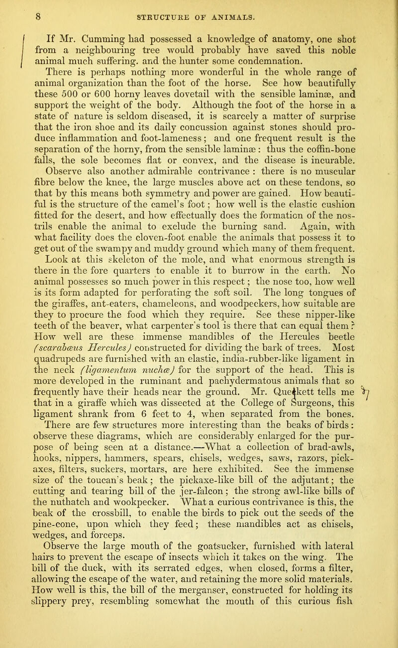 If Mr. Cumming liad possessed a knowledge of anatomy, one shot from a neighbouring tree would probably have saved this noble animal much suffering, and the hunter some condemnation. There is perhaps nothing more wonderful in the whole range of animal organization than the foot of the horse. See how beautifully these 500 or 600 horny leaves dovetail with the sensible laminae, and support the weight of the body. Although the foot of the horse in a state of nature is seldom diseased, it is scarcely a matter of surprise that the iron shoe and its daily concussion against stones should pro- duce inflammation and foot-lameness; and one frequent result is the separation of the horny, from the sensible laminae : thus the coffin-bone falls, the sole becomes flat or convex, and the disease is incurable. Observe also another admirable contrivance : there is no muscular fibre below the knee, the large muscles above act on these tendons, so that by this means both symmetry and power are gained. How beauti- ful is the structure of the camel’s foot; how well is the elastic cushion fitted for the desert, and how effectually does the formation of the nos- trils enable the animal to exclude the burning sand. Again, with what facility does the cloven-foot enable the animals that possess it to get out of the swampy and muddy ground which many of them frequent. Look at this skeleton of the mole, and what enormous strength is there in the fore quarters to enable it to burrow in the earth. No animal possesses so much power in this respect; the nose too, how well is its form adapted for perforating the soft soil. The long tongues of the giraffes, ant-eaters, chameleons, and woodpeckers, how suitable are they to procure the food which they require. See these nipper-like teeth of the beaver, what carpenter's tool is there that can equal them ? How well are these immense mandibles of the Hercules beetle (scarahceus Hercules) constructed for dividing the bark of trees. Most quadrupeds are furnished with an elastic, india-rubber-like ligament in the neck (ligamentum nucha:) for the support of the head. This is more developed in the ruminant and pachydermatous animals that so frequently have their heads near the ground. Mr. Queikett tells me that in a giraffe which was dissected at the College of Surgeons, this ligament shrank from 6 feet to 4, when separated from the bones. There are few structures more interesting than the beaks of birds: observe these diagrams, which are considerably enlarged for the pur- pose of being seen at a distance.—What a collection of brad-awls, hooks, nippers, hammers, spears, chisels, wedges, saws, razors, pick- axes, filters, suckers, mortars, are here exhibited. See the immense size of the toucan's beak; the pickaxe-like bill of the adjutant; the cutting and tearing bill of the jer-falcon; the strong awl-like bills of the nuthatch and wookpecker. What a curious contrivance is this, the beak of the crossbill, to enable the birds to pick out the seeds of the pine-cone, upon which they feed; these mandibles act as chisels, wedges, and forceps. Observe the large mouth of the goatsucker, furnished with lateral hairs to prevent the escape of insects which it takes on the wing. The bill of the duck, with its serrated edges, when closed, forms a filter, allowing the escape of the water, and retaining the more solid materials. How well is this, the bill of the merganser, constructed for holding its slippery prey, resembling somewhat the mouth of this curious fish