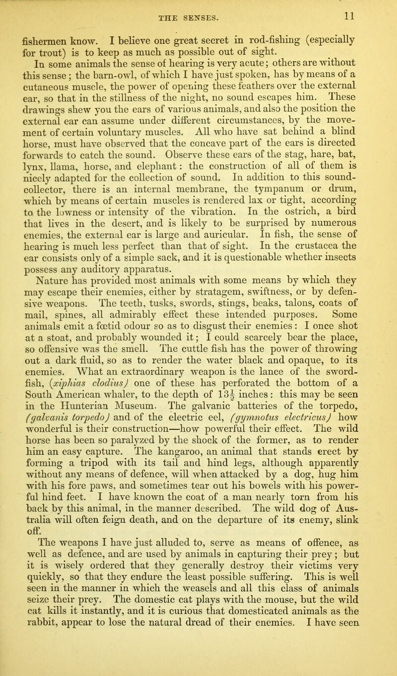 fishermen know. I believe one great secret in rod-fishing (especially for trout) is to keep as much as possible out of sight. In some animals the sense of hearing is very acute; others are without this sense; the barn-owl, of which I have just spoken, has by means of a cutaneous muscle, the power of opening these feathers over the external ear, so that in the stillness of the night, no sound escapes him. These drawings shew you the ears of various animals, and also the position the external ear can assume under different circumstances, by the move- ment of certain voluntary muscles. All who have sat behind a blind horse, must have observed that the concave part of the ears is directed forwards to catch the sound. Observe these ears of the stag, hare, bat, lynx, llama, horse, and elephant: the construction of all of them is nicely adapted for the collection of sound. In addition to this sound- collector, there is an internal membrane, the tympanum or drum, which by means of certain muscles is rendered lax or tight, according to, the lowness or intensity of the vibration. In the ostrich, a bird that lives in the desert, and is likely to be surprised by numerous enemies, the external ear is large and auricular. In fish, the sense of hearing is much less perfect than that of sight. In the Crustacea the ear consists only of a simple sack, and it is questionable whether insects possess any auditory apparatus. Nature has provided most animals with some means by which they may escape their enemies, either by stratagem, swiftness, or by defen- sive weapons. The teeth, tusks, swords, stings, beaks, talons, coats of mail, spines, all admirably effect these intended purposes. Some animals emit a foetid odour so as to disgust their enemies : I once shot at a stoat, and probably wounded it; I could scarcely bear the place, so offensive was the smell. The cuttle fish has the power of throwing out a dark fluid, so as to render the water black and opaque, to its enemies. What an extraordinary weapon is the lance of the sword- fish, (xiphias clodiusj one of these has perforated the bottom of a South American whaler, to the depth of 13g inches: this may be seen in the Hunterian Museum. The galvanic batteries of the torpedo, (galvanis torpedo) and of the electric eel, (gymnotus electricus) how wonderful is their construction—how powerful their effect. The wild horse has been so paralyzed by the shock of the former, as to render him an easy capture. The kangaroo, an animal that stands erect by forming a tripod with its tail and hind legs, although apparently without any means of defence, will when attacked by a dog, hug him with his fore paws, and sometimes tear out his bowels with his power- ful hind feet. I have known the coat of a man nearly torn from his back by this animal, in the manner described. The wild dog of Aus- tralia will often feign death, and on the departure of its enemy, slink off. The weapons I have just alluded to, serve as means of offence, as well as defence, and are used by animals in capturing their prey ; but it is wisely ordered that they generally destroy their victims very quickly, so that they endure the least possible suffering. This is well seen in the manner in which the weasels and all this class of animals seize their prey. The domestic cat plays with the mouse, but the wild cat kills it instantly, and it is curious that domesticated animals as the rabbit, appear to lose the natural dread of their enemies. I have seen