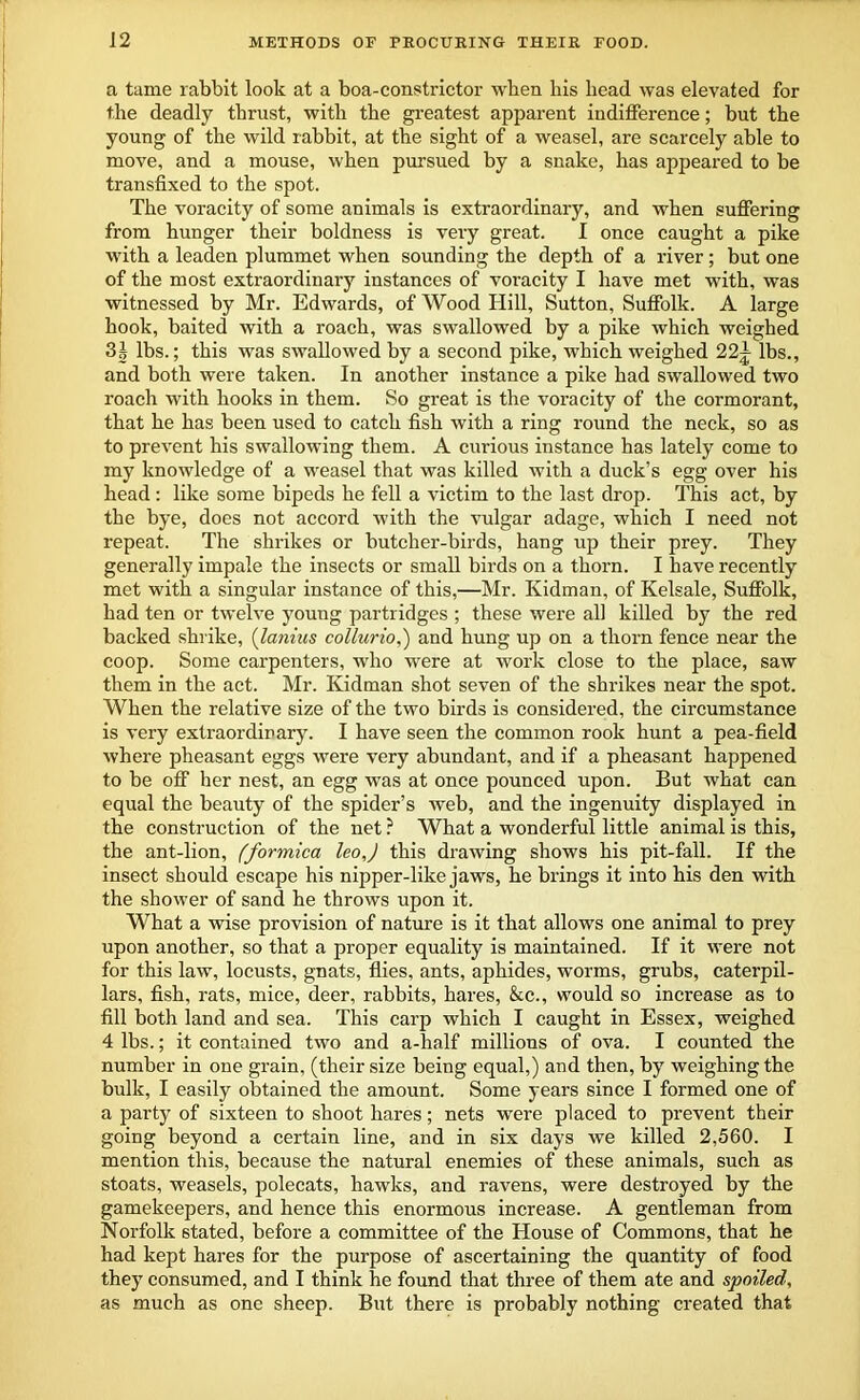 a tame rabbit look at a boa-constrictor when his bead was elevated for the deadly thrust, with the greatest apparent indifference; but the young of the wild rabbit, at the sight of a weasel, are scarcely able to move, and a mouse, when pursued by a snake, has appeared to be transfixed to the spot. The voracity of some animals is extraordinary, and when suffering from hunger their boldness is very great. I once caught a pike with a leaden plummet when sounding the depth of a river; but one of the most extraordinary instances of voracity I have met with, was witnessed by Mr. Edwards, of Wood Hill, Sutton, Suffolk. A large hook, baited with a roach, was swallowed by a pike which weighed 3J lbs.; this was swallowed by a second pike, which weighed 22~ lbs., and both were taken. In another instance a pike had swallowed two roach with hooks in them. So great is the voracity of the cormorant, that he has been used to catch fish with a ring round the neck, so as to prevent his swallowing them. A curious instance has lately come to my knowledge of a weasel that was killed with a duck’s egg over his head : like some bipeds he fell a victim to the last drop. This act, by the bye, does not accord with the vulgar adage, which I need not repeat. The shrikes or butcher-birds, hang up their prey. They generally impale the insects or small birds on a thorn. I have recently met with a singular instance of this,—Mr. Kidman, of Kelsale, Suffolk, had ten or twelve young partridges ; these were all killed by the red backed shrike, (lanius collurio,) and hung up on a thorn fence near the coop. Some carpenters, who were at work close to the place, saw them in the act. Mr. Kidman shot seven of the shrikes near the spot. When the relative size of the two birds is considered, the circumstance is very extraordinary. I have seen the common rook hunt a pea-field where pheasant eggs were very abundant, and if a pheasant happened to be off her nest, an egg was at once pounced upon. But what can equal the beauty of the spider’s web, and the ingenuity displayed in the construction of the net ? What a wonderful little animal is this, the ant-lion, (formica leoj this drawing shows his pit-fall. If the insect should escape his nipper-like jaws, he brings it into his den with the shower of sand he throws upon it. What a wise provision of nature is it that allows one animal to prey upon another, so that a proper equality is maintained. If it were not for this law, locusts, gnats, flies, ants, aphides, W'orms, grubs, caterpil- lars, fish, rats, mice, deer, rabbits, hares, &c., would so increase as to fill both land and sea. This carp which I caught in Essex, weighed 4 lbs.; it contained two and a-half millions of ova. I counted the number in one grain, (their size being equal,) and then, by weighing the bulk, I easily obtained the amount. Some years since I formed one of a party of sixteen to shoot hares; nets were placed to prevent their going beyond a certain line, and in six days we killed 2,560. I mention this, because the natural enemies of these animals, such as stoats, weasels, polecats, hawks, and ravens, were destroyed by the gamekeepers, and hence this enormous increase. A gentleman from Norfolk stated, before a committee of the House of Commons, that he had kept hares for the purpose of ascertaining the quantity of food they consumed, and I think he found that three of them ate and spoiled, as much as one sheep. But there is probably nothing created that