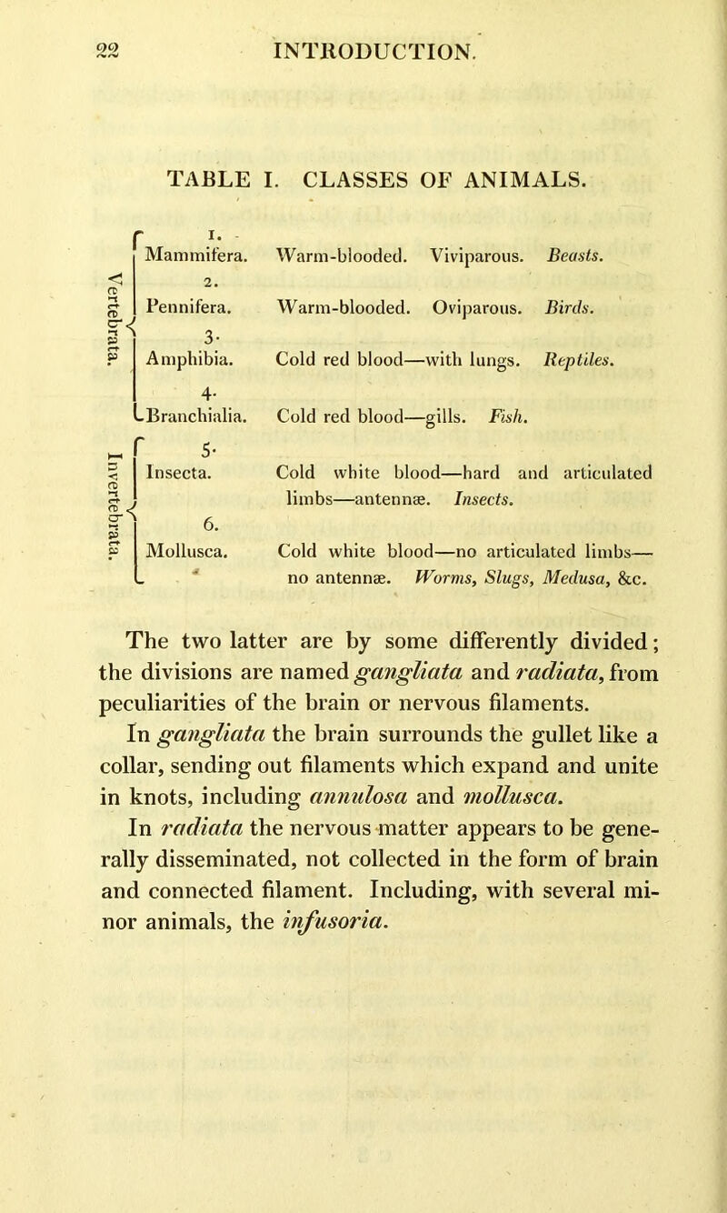 . CLASSES OF ANIMALS. Warm-blooded. Viviparous. Beasts. Warm-blooded. Oviparous. Birds. Cold red blood—with lungs. Reptiles. Cold red blood—gills. Fish. Cold white blood—hard and articulated limbs—antennae. Insects. Cold white blood—no articulated limbs— no antennae. Worms, Slugs, Medusa, &c. The two latter are by some differently divided; the divisions are named gangliata and radiata,ivom peculiarities of the brain or nervous filaments. In gangliata the brain surrounds the gullet like a collar, sending out filaments which expand and unite in knots, including annulosa and mollusca. In radiata the nervous matter appears to be gene- rally disseminated, not collected in the form of brain and connected filament. Including, with several mi- nor animals, the infusoria. TABLE I Mammifera. 2. Pennifera. * 3; Amphibia. -Branchialia. 5- Insecta. 6. Mollusca.