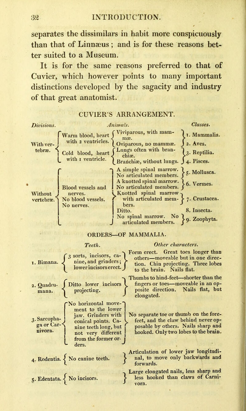 separates the dissimilars in habit more conspicuously than that of Linnaeus ; and is for these reasons bet- ter suited to a Museum. It is for the same reasons preferred to that of Cuvier, which however points to many important distinctions developed by the sagacity and industry of that great anatomist. CUVIER'S ARRANGEMENT. Divisions. Animals. Classes. f Warm blood, heart j ™Par0US’ with mam‘ U Mammalia. Withver-J w*t*1 2 ventr'c^es‘ Oviparous, no mammae, j 2. Aves. tebnE- 1 Cold blood, heart 1^.°^ witb bran' \3- Reptilia. (_ with 1 ventricle. Brahchiae, without lungs. J 4. Pisces. Without vertebrae. Blood vessels and nerves. No blood vessels. No nerves. A simple spinal marrow, 1 j No articulated members. J A knotted spinal marrow. \ I No articulated members. J >' Knotted spinal marrow with articulated mem- > bers. Ditto. 1 No spinal marrow. No 1 J articulated members. J 5. Mollusca. 6. Vermes. 7. Crustacea. 8. Insecta. 9. Zoophyta. ORDERS—OF MAMMALIA. Teeth. Other characters. Bimana. f 3 sorts, incisors, ca- | a. J nine,and grinders; ?■ | lower incisors erect. J 1. Quadra- J Ditto lower incisors l mana. S projecting. 3.Sarcopha- j ga or Car-“^ nivora. I No horizontal move-] ment to the lower 1 jaw. Grinders with j conical points. Ca- V, nine teeth long, but 1 not very different j from the former or- 1 • ders. J 4. Rodentia. No canine teeth. 5. Edentata. No incisors. j- Form erect. Great toes longer than others—moveable but in one direc- tion. Chin projecting. Three lobes to the brain. Nails flat. Thumbs to hind-feet—shorter than the fingers or toes—moveable in an op- posite direction. Nails flat, but elongated. No separate toe or thumb on the fore- feet, and the claw behind never op- posable by others. Nails sharp and hooked. Only two lobes to the brain. Articulation of lower jaw longitudi- nal, to move only backwards and forwards. Large elongated nails, less sharp and less hooked than claws of Carni- vora.