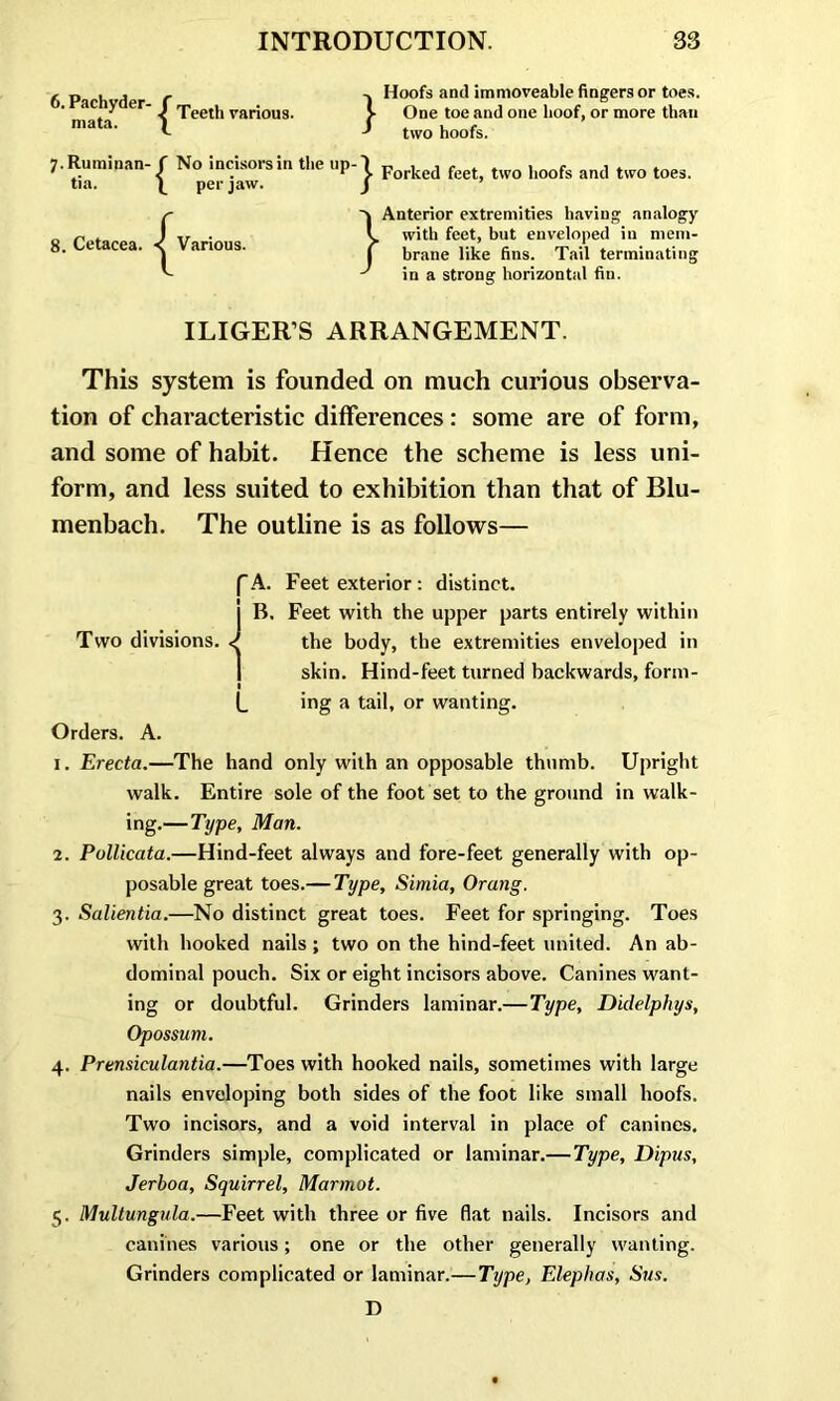 6'Ilyder'{Teeth™U8' } 7.Ruminan- f No incisors in the up-1 tia. per jaw. J Hoofs anil immoveable fingers or toes. One toe and one hoof, or more than two hoofs. Forked feet, two hoofs and two toes. 8. Cetacea. •^Various. 'i Anterior extremities having analogy I with feet, but enveloped in mem- j brane like fins. Tail terminating ^ in a strong horizontal fin. ILIGER’S ARRANGEMENT. This system is founded on much curious observa- tion of characteristic differences: some are of form, and some of habit. Hence the scheme is less uni- form, and less suited to exhibition than that of Blu- menbach. The outline is as follows— fA. Feet exterior: distinct. I B. Feet with the upper parts entirely within Two divisions. ^ the body, the extremities enveloped in I skin. Hind-feet turned backwards, form- I L ing a tail, or wanting. Orders. A. 1. Erecta.—The hand only with an opposable thumb. Upright walk. Entire sole of the foot set to the ground in walk- ing.—Type, Man. 2. Pollicata.—Hind-feet always and fore-feet generally with op- posable great toes.— Type, Simia, Orang. 3. Salientia.—No distinct great toes. Feet for springing. Toes with hooked nails ; two on the hind-feet united. An ab- dominal pouch. Six or eight incisors above. Canines want- ing or doubtful. Grinders laminar.—Type, Didelphys, Opossum. 4. Prensiculantia.—Toes with hooked nails, sometimes with large nails enveloping both sides of the foot like small hoofs. Two incisors, and a void interval in place of canines. Grinders simple, complicated or laminar.— Type, Dipus, Jerboa, Squirrel, Marmot. 5. Multungula.—Feet with three or five flat nails. Incisors and canines various; one or the other generally wanting. Grinders complicated or laminar.— Tijpe, Elephas, Sus. D