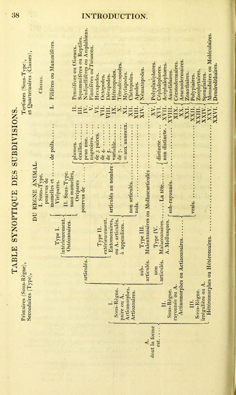 TABLE SYNOPTIQUE DES SUBDIVISIONS. jn, a to 5 Of J < go * & Is . S* v) w £ m 71 <1/X3 5 5- u c« C/3 X O a> —i «-< o a; o • -a Vi o • . O ?u?o to o _ z ■ o to *5 g-sas^g-g-i^ 5 o « -o £ •£ S 'S - - £ aa's’lSSSSjs X 0-* —' — 1> X 'O VX NX) », »x o s r- Q. v-i) <0 S g w -§. o ^ ‘S ^ o' O.'X F t* 5-s ?? H f i gj — sll'l rt 'o'o'oa^iCo'oo a, 5 &hO<<OCNO.N w <5 Q 3 ^ *S> 3 •-•—• »T3 bC ce , 1 3 2 ^ ^ to S3 tu o g s is o a 5.3 g z < W Z O w, PS E3 Q C. 0) -w f'.'C O E T. tO I a o (fl P ^ s s:s s s p fc C3 tS s-r So >rsszzr;o = >>“ *x>rc;xdx;30zg *x* x SS to O O P .3 »0 CO cO * W £ « S o • Cu a ^ g- 3  O -oS >—i cs tj .3 ■— o ^ ^ E a U.-J2 * .3 3 3 Oi C/2 *£J 3 H o ^ c« « Jg)*t! E^g ■ ^ 3 o 5 1 O £ 2 c/) 3 >: 0XOO c .3 ‘F *F C/3 03 - ** Q«< < . ^ 3- sV X S o ° bD « S • 'V ~ O ■-y ^ « ^ m ? vy 3 bC — C ^ J-» <tj a