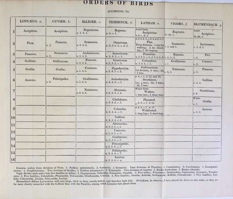 ORDERS OF BTRUS ACCORDING TO LINNiEUS. a. CUVIER, b. ILLIGER. c. TEMMINCK. d. LATHAM, e. VIGORS. /. BLUMENBACH. g. 1 Accipitres. Accipitres. Raptatores. a. 1. b. 1. Rapaces. a. b. c. 1. Land birds. Accipitrine. ci. b. c. d. 1. Rap tores. In all, l. Land. Accipitres. 2 Picae. Passeres. a. 3. Scansores. a. 2. b. 3. Omnivorae. a. 2. 3. b. 2. c. 2. 3. a.'l.b. 2.3. c.2.3.rf.2.3.7 Pies. Three divisions: 1 .feet for walking ; 2. for climb- ing ; 3. for leaping. Insessores. e. 2. and 3. Levirostres. e. 3. d. 5. 3 Passeres. Scansores. a. 2. Ambulatores. a. 3. b. 2. Insectivorse. a. 3. b. 2. c. 3. Passerine. «• 3. b. 2. c. 3. d. 3.4. 5. 6. Rasores. e- 4, 5, 6. Pici. <?. 2. 4> Gallinae. Gallinaceae. Rasores. a. 4. b. 4. Granivorae. a. 3. b. 2. c. 3. Columbine. a. 3. b. 4. c. 3. Grallatores. e. 7. Coraces. e. 2. 5 Grallae. Grallae. Cursores. a. 5. b. 5. Zygodactylae. a. 2. b. 3. c. 2. Gallinaceous. 1 st division, 4 toes ; 2d, 3 toes. Natatores. e. 8, 9. Passeres. e. 3. 6 Anseres. Palmipedes. a. 6. Grallatores. a. 5. b. 5. Anisodactylae. a. 3. b. 2. c. 3. a. b. c. 5. d. 12. and Ifi. Struthious. 1st, 4 toes; 2d, 3 toes; 3d, 2 toes. Gallinae. e. 4. 5. 7 Natatores. a. 6. b. 6. Alcyones. a. 2. b. 3. c. 4. Water birds. Waders. 1. four toes; 2. three toes. Struthiones. e. 6. 8 Chelidones. a. 3. b. 2. c. 3. Pinnated. a. b. 6. c. 7. d. 14. Water. Grallae. e. 7. 9 Columbae. a. 3. b. 4. c. 3. a. b. 6. c. 7. d. 15. Webfooted. 1. long legs ; 2. short legs. Anseres. e. 8. 9. 10 Gallinae. a. 4. b. 4. c. 4. 11 Alectorides. a. 4. b. 4. c. 4. 12 Cursores. a. 5. b. 5. c. 5. 13 Grallatores. a. 5. b. 5. c. 6. U Pinnatipedes. a. 6. b. 6. c. 7. 15 Palmipedes. a. 6. b. 6. c. 7. 16 Inertes. a. 4 b. 4. c. 4. Linnaeus makes three divisions of Picae; 1. Pedibus ambulatoriis. 2. Scaasoiiis. 3. Gressoriis. Four divisions of Passeres; 1. Crassirostres. 2, Curvirostres. Emarginati- rostres. 4. Simplicirostres. Two divisions of Gralias; 1. Pedibus tetradactylis. 2. Tridactylis. Two divisions of Anseres. 1. Rostro denticulato. Rostio edeutulo. 2. Five tribes; Fissirostres, Dentirostres, Conirostres, Scansores, Tenuiro- “ ' 5. Five families; Ana- Vigor divides each order into five families or tribes; 1. Gypogeranus, Vulturid®, Falconidae, Strigidae. 2. Five tribes; fissirostres, Dentirostres, Lomiost, sianidae, Tetraonidae, Struthionidae, Cracidae. 4. Five families; Gruidae, Ardeid®, Scolopacid®, Rallidae, Charadnad® Of Gallin®, he observes, I have placed the doves in this order, as they are tidae, Colymbidae, Alcadae, Pelacanidae, Laridae. Blumenbach defines Lcvirostres, with very large, thick or deep, mostly hollow, and therefore light bills far more closely connected with the Gallinae than with the Passeres, among which Linnaeus had placed them