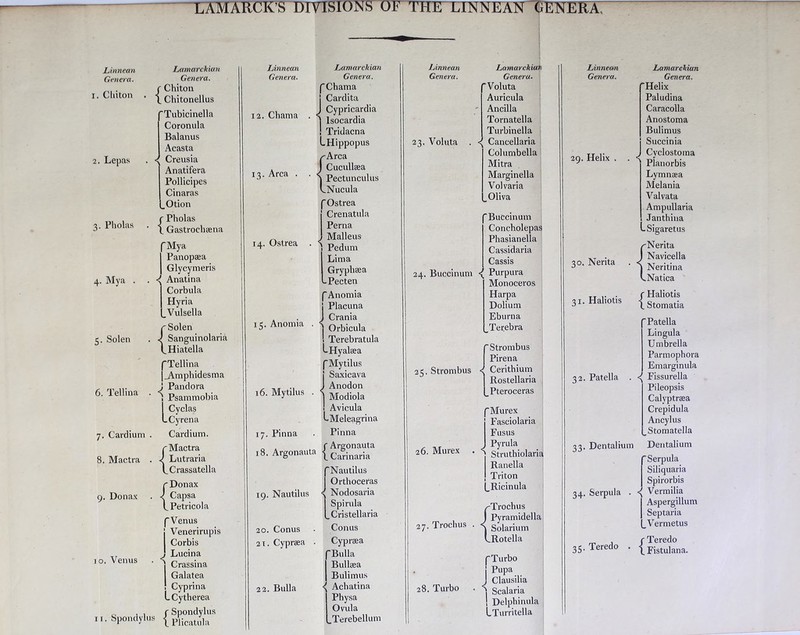 UAMARCK'S DIVISIONS OF TIIE tINNEAN GENERA Linnean Genera. i. Cliiton 2. Lepas 3. Pholas 4. Mya . Lamarckian Genera. ( Chiton ’ 1 Chitonellus Tubicinella Coronula Balanus Acasta . ^ Creusia Anatifera Pollicipes Cinaras .Otion r Pholas ‘ 1 Gastroclisena Mya Panopsea Glycymeris . Anatina Corbula Hyria V ulsella 5. Solen 6. Tellina 7. Cardium . 8. Mactra . 9. Donax 10. Venus 11. Spondyli p Solen Sanguinolaria ^Hiatella (Tellina |_Amphidesma J Pandora , Psammobia I Cyclas LCyrena Cardium. r Mactra J Lutraria LCrassatella rDonax J Capsa LPetricola (Venus j Venerirupis Corbis J Lucina I Crassina I Galatea ! Cyprina LCytherea c Spondylus 1 Plicatula Linnean Genera. 12. Chama 13. Area . Lamarckian Genera. (Chama j Cardita J Cypricardia | Isocardia ! Tridacna Lplippopus ^Arca J Cucullaea A Pectunculus CNucula 14. Ostrea 15. Anomia 16. Mytilus 17. Pinna C Ostrea Crenatula Perna 1 Malleus 1 Pedum Lima Grypliaea -Pecten C Anomia j Placuna J Crania I Orbicula • Terebratula l-Hyalsea f Mytilus j Saxicava J Anodon | Modiola ! Avicula l-Meleagrina Pinna 18. Argonauta f Argonauta L Carinaria 19. Nautilus (Nautilus j Orthoceras \ Nodosaria Spirula l_Cristellaria 20. Conus 21. Cyprsea 22. Bulla Conus Cypraea Bulla Bullaea Bulimus Achatina Physa Ovula .Terebellum Linnean Genera. 23. Voluta Lamarckian Genera. Voluta Auricula Ancilla Tornatella Turbinella <( Cancellaria Columbella Mitra Marginella Volvaria .Oliva 24. Buccinum Buccinum Concholepas Phasianella Cassidaria Cassis ■( Purpura Monoceros Harpa Dolium Eburna _Terebra pStrombus j Pirena 25. Strombus ■< Cerithium | Rostellaria (.Pteroceras 26. Murex pMurex Fasciolaria Fusus j Pyrula ■ ' Struthiolaria Ranella Triton (.Ricinula 27. Trochus ^Trochus J Pyramidella j Solarium LRotella p Turbo j Pupa J Clausilia 28. Turbo . N gcalaria ! Delphi n ula LTurritella Linneam Genera. 29. Helix . . 30. Nerita 31. Haliotis 32. Patella . 33. Dentalium 34. Serpula . 35. Teredo . Lamarckian Genera. Helix Paludina Caracolla Anostoma Bulimus Succinia Cyclostoma Planorbis Lymnaea Melania Valvata Ampullaria Janthina -Sigaretus /^Nerita J Navicella J Neritina CNatica {Haliotis Stomatia Patella Lingula Umbrella Parmophora Emarginula Fissurella Pileopsis Calyptraea Crepidula Ancylus .Stomatella Dentalium Serpula Siliquaria Spirorbis <( Vermilia Aspergillum Septaria .Vermetus {Teredo Fistulana.