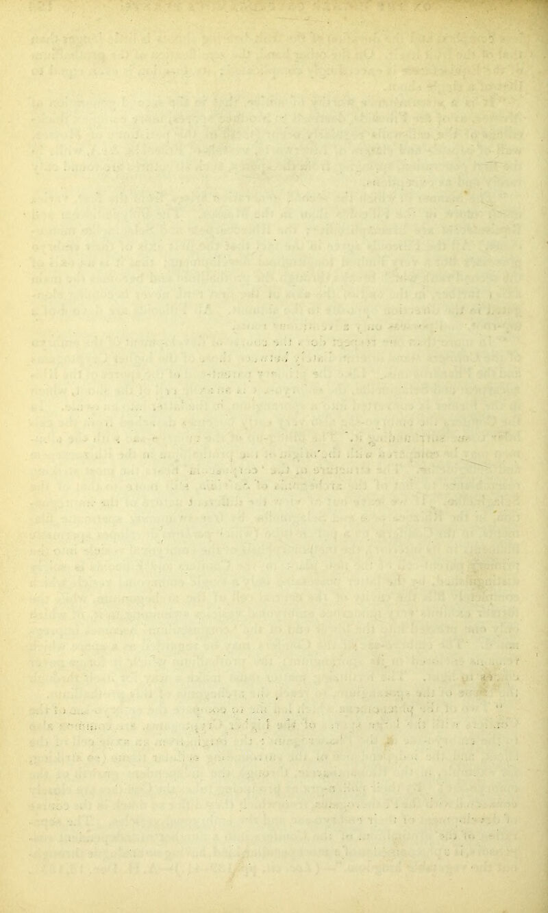 \tm ..’r t ■- <- ' t ‘ .