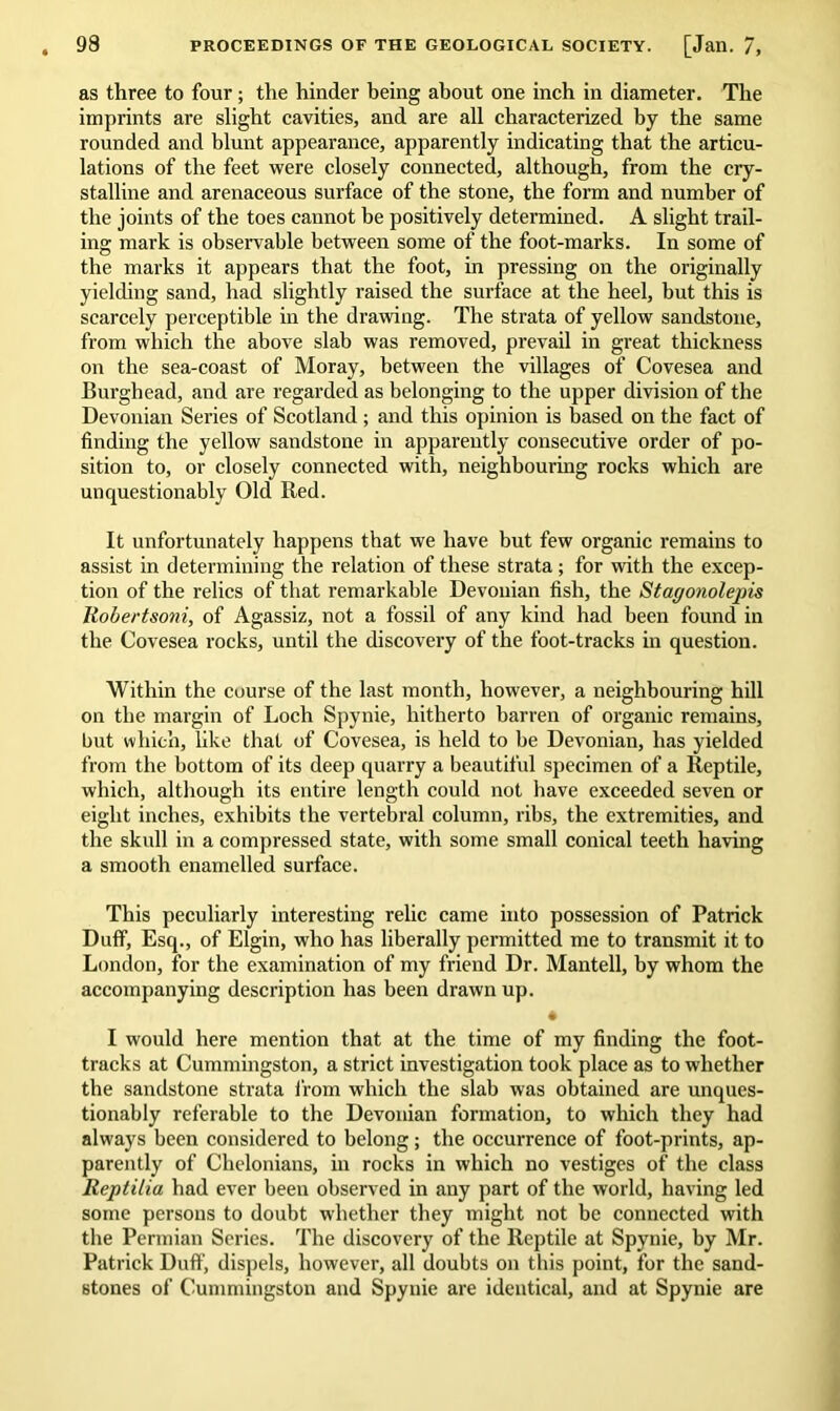 as three to four ; the hinder being about one inch in diameter. The imprints are slight cavities, and are all characterized by the same rounded and blunt appearance, apparently indicating that the articu- lations of the feet were closely connected, although, from the cry- stalline and arenaceous surface of the stone, the form and number of the joints of the toes cannot be positively determined. A slight trail- ing mark is observable between some of the foot-marks. In some of the marks it appears that the foot, in pressing on the originally yielding sand, had slightly raised the surface at the heel, but this is scarcely perceptible in the drawing. The strata of yellow sandstone, from which the above slab was removed, prevail in great thickness on the sea-coast of Moray, between the villages of Covesea and Burghead, and are regarded as belonging to the upper division of the Devonian Series of Scotland ; and this opinion is based on the fact of finding the yellow sandstone in apparently consecutive order of po- sition to, or closely connected with, neighbouring rocks which are unquestionably Old Red. It unfortunately happens that we have but few organic remains to assist in determining the relation of these strata ; for with the excep- tion of the relics of that remarkable Devonian fish, the Stagonolepis Robertsoni, of Agassiz, not a fossil of any kind had been found in the Covesea rocks, until the discovery of the foot-tracks in question. Within the course of the last month, however, a neighbouring hill on the margin of Loch Spynie, hitherto barren of organic remains, but which, like that of Covesea, is held to be Devonian, has yielded from the bottom of its deep quarry a beautiful specimen of a Reptile, which, although its entire length could not have exceeded seven or eight inches, exhibits the vertebral column, ribs, the extremities, and the skull in a compressed state, with some small conical teeth having a smooth enamelled surface. This peculiarly interesting relic came into possession of Patrick Duff, Esq., of Elgin, who has liberally permitted me to transmit it to London, for the examination of my friend Dr. Mantell, by whom the accompanying description has been drawn up. 4 I would here mention that at the time of my finding the foot- tracks at Cummingston, a strict investigation took place as to whether the sandstone strata i'rom which the slab was obtained are unques- tionably referable to the Devonian formation, to which they had always been considered to belong; the occurrence of foot-prints, ap- parently of Chelonians, in rocks in which no vestiges of the class Reptilia had ever been observed in any part of the world, having led some persons to doubt whether they might not be connected with the Permian Series. The discovery of the Reptile at Spynie, by Mr. Patrick Duff, dispels, however, all doubts on this point, for the sand- stones of Cummingston and Spyuie are identical, and at Spynie are