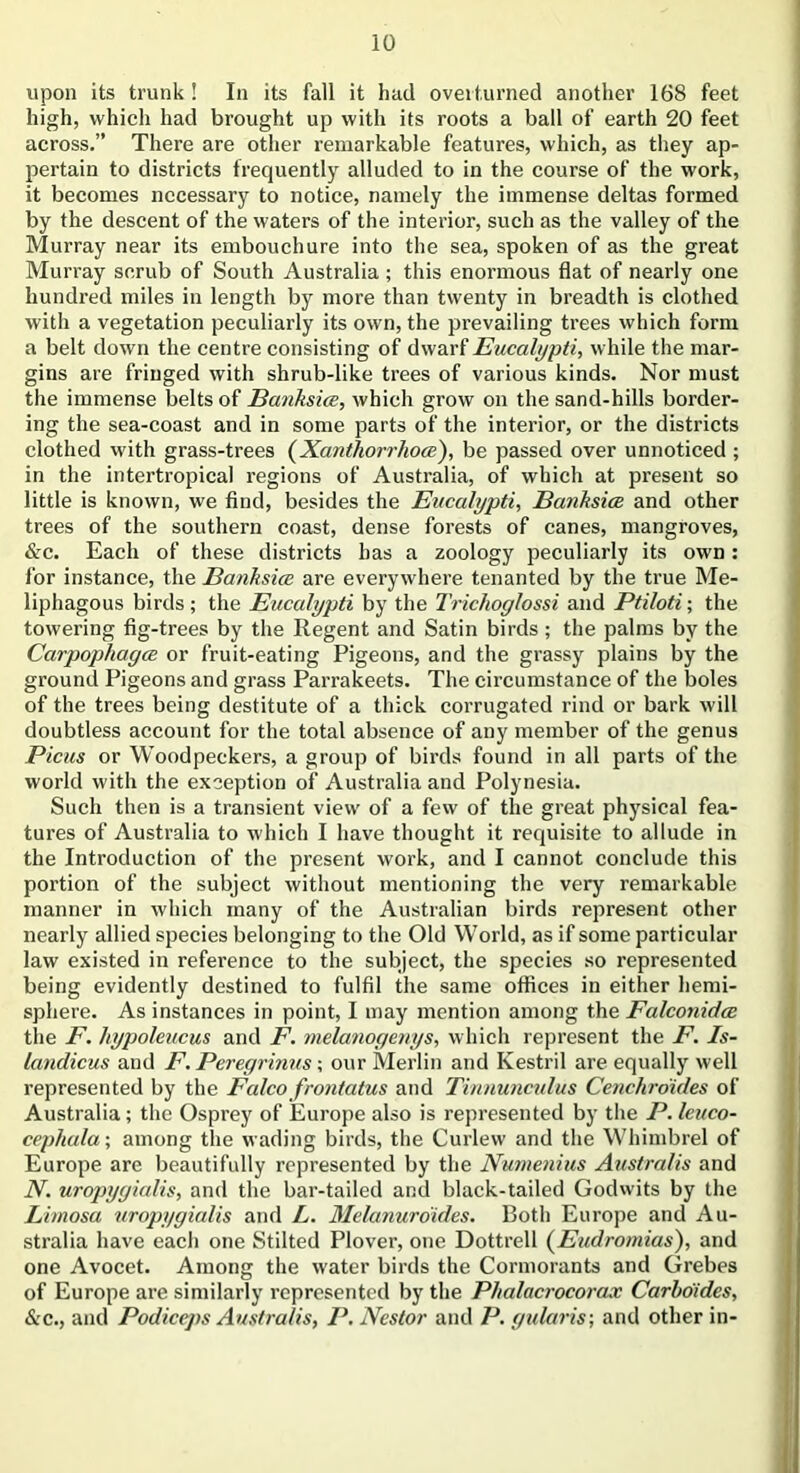upon its trunk ! In its fall it had overturned another 168 feet high, which had brought up with its roots a ball of earth 20 feet across.” There are other remarkable features, which, as they ap- pertain to districts frequently alluded to in the course of the work, it becomes necessary to notice, namely the immense deltas formed by the descent of the waters of the interior, such as the valley of the Murray near its embouchure into the sea, spoken of as the great Murray scrub of South Australia ; this enormous flat of nearly one hundred miles in length by more than twenty in breadth is clothed with a vegetation peculiarly its own, the prevailing trees which form a belt down the centre consisting of dwarf Eucalypti, while the mar- gins are fringed with shrub-like trees of various kinds. Nor must the immense belts of Eanksice, which grow on the sand-hills border- ing the sea-coast and in some parts of the interior, or the districts clothed with grass-trees (Xanthorrhoce), be passed over unnoticed ; in the intertropical regions of Australia, of which at present so little is known, we find, besides the Eucalypti, Eanksice and other trees of the southern coast, dense forests of canes, mangroves, &c. Each of these districts has a zoology peculiarly its own: for instance, the Eanksice are everywhere tenanted by the true Me- liphagous birds; the Eucalypti by the Trichoglossi and Ptiloti; the towering fig-trees by the Regent and Satin birds; the palms by the Carpophagce or fruit-eating Pigeons, and the grassy plains by the ground Pigeons and grass Parrakeets. The circumstance of the boles of the trees being destitute of a thick corrugated rind or bark will doubtless account for the total absence of any member of the genus Picus or Woodpeckers, a group of birds found in all parts of the world with the exception of Australia and Polynesia. Such then is a transient view of a few of the great physical fea- tures of Australia to which I have thought it requisite to allude in the Introduction of the present work, and I cannot conclude this portion of the subject without mentioning the very remarkable manner in which many of the Australian birds represent other nearly allied species belonging to the Old World, as if some particular law existed in reference to the subject, the species so represented being evidently destined to fulfil the same offices in either hemi- sphere. As instances in point, I may mention among the Falconidce the F. hypoleucus and F. melanogenys, which represent the F. Is- landicus and F. Peregrinus; our Merlin and Kestril are equally well represented by the Falco frontatus and Tinnunculus Cenchroicles of Australia; the Osprey of Europe also is represented by the P. leuco- cephala; among the wading birds, the Curlew and the Whimbrel of Europe are beautifully represented by the Numenins Australis and N. uropygialis, and the bar-tailed and black-tailed Godwits by the Limosa uropygialis and L. Mclanuraides. Both Europe and Au- stralia have each one Stilted Plover, one Dottrell (Eudro/nias), and one Avocet. Among the water birds the Cormorants and Grebes of Europe are similarly represented by the Phalacrocorax Carbo'ides, Sec., and Podiceps Australis, P. Nestor and P. gularis; and other in-