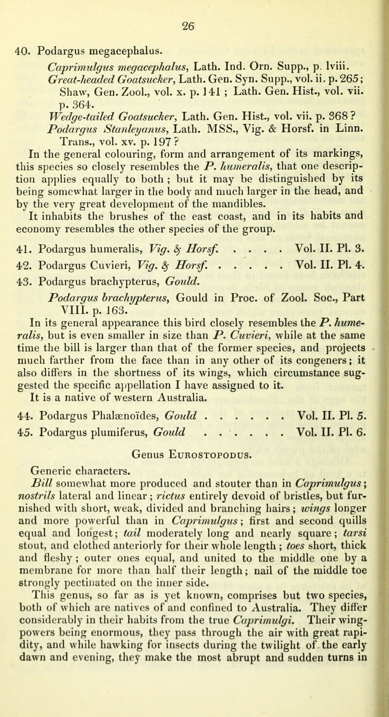40. Podargus megacephalus. Caprimulgus megacephalus, Lath. Ind. Orn. Supp., p. lviii. Great-headed Goatsucker, Lath. Gen. Syn. Supp., vol. ii. p. 265; Shaw, Gen. Zool., vol. x. p. 141 ; Lath. Gen. Hist., vol. vii. p. 364. Wedge-tailed Goatsucker, Lath. Gen. Hist., vol. vii. p. 368 ? Podargus Stanleyanus, Lath. MSS., Vig. & Horsf. in Linn. Trans., vol. xv. p. 197 ? In the general colouring, form and arrangement of its markings, this species so closely resembles the P. liumeralis, that one descrip- tion applies equally to both ; but it may be distinguished by its being somewhat larger in the body and much larger in the head, and by the very great development of the mandibles. It inhabits the brushes of the east coast, and in its habits and economy resembles the other species of the group. 41. Podargus humeralis, Vig. fy Horsf. .... Vol. II. PI. 3. 42. Podargus Cuvieri, Vig. 8f Horsf. Vol. II. PI. 4. 43. Podargus brachypterus, Gould. Podargus hracliypterus, Gould in Proc. of Zool. Soc., Part VIII. p. 163. In its general appearance this bird closely resembles the P. hume- ralis, but is even smaller in size than P. Cuvieri, while at the same time the bill is larger than that of the former species, and projects much farther from the face than in any other of its congeners; it also differs in the shortness of its wings, which circumstance sug- gested the specific appellation I have assigned to it. It is a native of western Australia. 44. Podargus Phalaeno'ides, Gould Vol. II. PI. 5. 45. Podargus plumiferus, Gould Vol. II. PI. 6. Genus Eurostopodus. Generic characters. Bill somewhat more produced and stouter than in Caprimulgus; nostrils lateral and linear; rictus entirely devoid of bristles, but fur- nished with short, weak, divided and branching hairs; wings longer and more powerful than in Caprimulgus; first and second quills equal and longest; tail moderately long and nearly square; tarsi stout, and clothed anteriorly for their whole length ; toes short, thick and fleshy; outer ones equal, and united to the middle one by a membrane for more than half their length; nail of the middle toe strongly pectinated on the inner side. This genus, so far as is yet known, comprises but two species, both of which are natives of and confined to Australia. They differ considerably in their habits from the true Caprimulgi. Their wing- powers being enormous, they pass through the air with great rapi- dity, and while hawking for insects during the twilight of the early dawn and evening, they make the most abrupt and sudden turns in