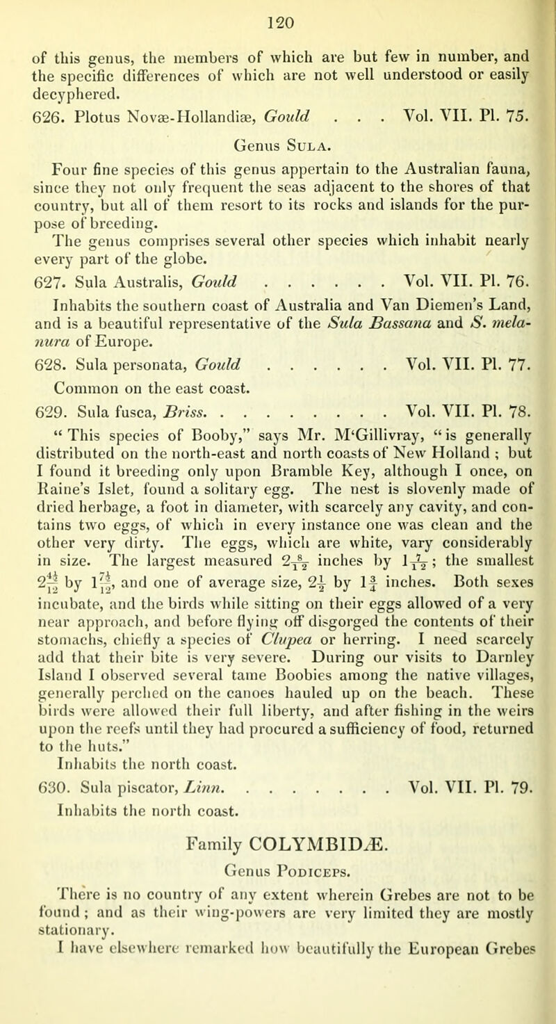 of this genus, the members of which are but few in number, and the specific differences of which are not well understood or easily decyphered. 626. Plotus Novae-Hollandiae, Gould . . . Vol. VII. PI. 75. Genus Sula. Four fine species of this genus appertain to the Australian fauna, since they not only frequent the seas adjacent to the shores of that country, but all of them resort to its rocks and islands for the pur- pose of breeding. The genus comprises several other species which inhabit nearly every part of the globe. 627. Sula Australis, Goidd Vol. VII. PI. 76. Inhabits the southern coast of Australia and Van Diemen’s Land, and is a beautiful representative of the Sula Bassana and S. mela- nura of Europe. 628. Sula personata, Gould Vol. VII. PI. 77. Common on the east coast. 629. Sula fusca, Briss Vol. VII. PI. 78. “ This species of Booby,” says Mr. M‘Gillivray, “ is generally distributed on the north-east and north coasts of New Holland ; but I found it breeding only upon Bramble Key, although I once, on Raine’s Islet, found a solitary egg. The nest is slovenly made of dried herbage, a foot in diameter, with scarcely any cavity, and con- tains two eggs, of which in every instance one was clean and the other very dirty. The eggs, which are white, vary considerably in size. The largest measured 2^ inches by 1^; the smallest 2^' by lj|, and one of average size, 2f by If inches. Both sexes incubate, and the birds while sitting on their eggs allowed of a very near approach, and before flying off disgorged the contents of their stomachs, chiefly a species of Clupea or herring. I need scarcely add that their bite is very severe. During our visits to Darnley Island I observed several tame Boobies among the native villages, generally perched on the canoes hauled up on the beach. These birds were allowed their full liberty, and after fishing in the weirs upon the reefs until they had procured a sufficiency of food, returned to the huts.” Inhabits the north coast. 630. Sula piscator, Linn Vol. VII. PI. 79. Inhabits the north coast. Family COLYMBID.E. Genus Podiceps. There is no country of any extent wherein Grebes are not to be found ; and as their wing-powers are very limited they are mostly stationary. I have elsewhere remarked how beautifully the European Grebes