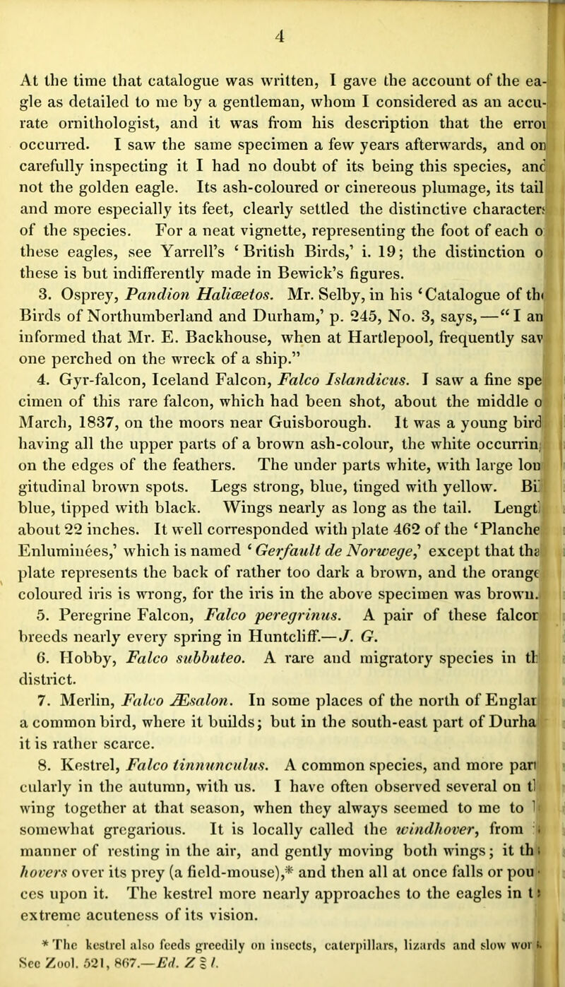 At the time that catalogue was written, I gave the account of the ea- gle as detailed to me by a gentleman, whom I considered as an accu- rate ornithologist, and it was fi'om his description that the erroi occuiTed. I saw the same specimen a few years afterwards, and on carefully inspecting it I had no doubt of its being this species, and not the golden eagle. Its ash-coloured or cinereous plumage, its tail and more especially its feet, clearly settled the distinctive characters of the species. For a neat vignette, representing the foot of each o these eagles, see Yarrell’s ‘British Birds,’ i. 19; the distinction o these is but indifferently made in Bewick’s figures. 3. Osprey, Pandion HalicBetos. Mr. Selby, in his ‘Catalogue of th< Birds of Northumberland and Durham,’ p. 245, No. 3, says,—“I an informed that Mr. E. Backhouse, when at Hartlepool, frequently sav one perched on the wreck of a ship.” 4. Gyr-falcon, Iceland Falcon, Falco Islandicus. I saw a fine spe cimen of this rare falcon, which had been shot, about the middle o March, 1837, on the moors near Guisborough. It was a young bird having all the upper parts of a brown ash-colour, the white occurrin;i on the edges of the feathers. The under parts white, with large Ion |i gitudinal brown spots. Legs strong, blue, tinged with yellow. Bf blue, lipped with black. Wings nearly as long as the tail. Lengti about 22 inches. It well corresponded with plate 462 of the ‘Planche Enluminees,’ which is named ‘ Gerfault de Norwege^ except that ths plate represents the back of rather too dark a brown, and the orange coloured iris is wrong, for the iris in the above specimen was brown. 5. Peregrine Falcon, Falco peregrinus. A pair of these falcor breeds nearly every spring in Huntcliff.—J. G. 6. Hobby, Falco suhbuteo. A rare and migratory species in tl: district. 7. Merlin, Falco FEsalon. In some places of the north of Englai a common bird, where it builds; but in the south-east part of Durha it is rather scarce. 8. Kestrel, Falco iimmnculm. A common species, and more pan cularly in the autumn, with us. I have often observed several on tl wing together at that season, when they always seemed to me to 1< somewhat gregarious. It is locally called the windhover, from i manner of resting in the air, and gently moving both wings; it th i hovers over its prey (a field-mouse),* and then all at once falls or pou • CCS upon it. The kestrel more nearly approaches to the eagles in 15 extreme acuteness of its vision. * The kestrel also feeds greedily on insects, caterpillars, lizards and slow wor i. i Sec Zool. 521, S67.—Ed. Z % /. I