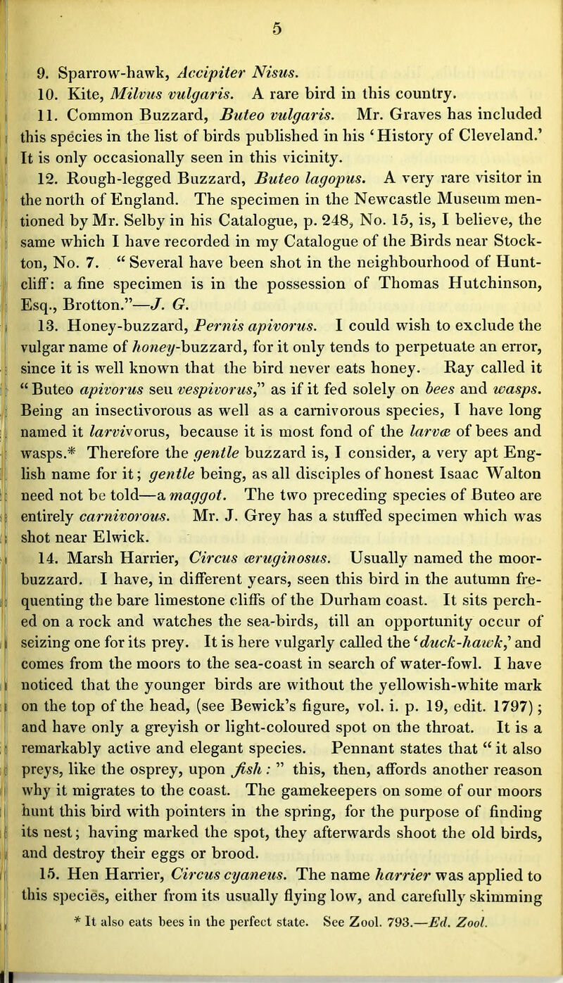 9. Sparrow-hawk, Accipiier Nisus. 10. Kite, Milvus vulgaris. A rare bird in this country. 11. Common Buzzard, Buteo vulgaris. Mr. Graves has included this species in the list of birds published in his ‘History of Cleveland.’ It is only occasionally seen in this vicinity. 12. Rough-legged Buzzard, Buteo lagopus. A very rare visitor in the north of England. The specimen in the Newcastle Museum men- tioned by Mr. Selby in his Catalogue, p. 248, No. 15, is, I believe, the same which I have recorded in my Catalogue of the Birds near Stock- ton, No. 7. “ Several have been shot in the neighbourhood of Hunt- cliff : a fine specimen is in the possession of Thomas Hutchinson, Esq., Brotton.”—J. G. 13. Honey-buzzai'd, Pernis apivorus. I could wish to exclude the vulgar name of /^o?^e?/-buzzard, for it only tends to perpetuate an error, since it is well known that the bird never eats honey. Ray called it “ Buteo apivorus sen vespivorus^' as if it fed solely on bees and wasps. Being an insectivorous as well as a carnivorous species, T have long named it Zarwfvorus, because it is most fond of the larvce of bees and wasps.* Therefore the gentle buzzard is, I consider, a very apt Eng- lish name for it; gentle being, as all disciples of honest Isaac Walton need not be told—a maggot. The two preceding species of Buteo are entirely carnivorous. Mr. J. Grey has a stuffed specimen which was shot near Elwick. 14. Marsh Harrier, Circus mruginosus. Usually named the moor- buzzard. I have, in different years, seen this bird in the autumn fre- quenting the bare limestone cliffs of the Durham coast. It sits perch- ed on a rock and watches the sea-birds, till an opportunity occur of seizing one for its prey. It is here vulgarly called \he^duck-hatvk,' and comes from the moors to the sea-coast in search of water-fowl. I have noticed that the younger birds are without the yellowish-white mark on the top of the head, (see Bewick’s figure, vol. i. p. 19, edit. 1797); and have only a greyish or light-coloured spot on the throat. It is a remarkably active and elegant species. Pennant states that “ it also preys, like the osprey, upon fish : ” this, then, affords another reason why it migrates to the coast. The gamekeepers on some of our moors hunt this bird with pointers in the spring, for the purpose of finding its nest; having marked the spot, they afterwards shoot the old birds, and destroy their eggs or brood. 15. Hen Hamer, Circus cyaneus. The name/mm'er was applied to this species, either from its usually flying low, and carefully skimming * It also eats bees in the perfect state. See Zool. 793.—Ed. Zool.