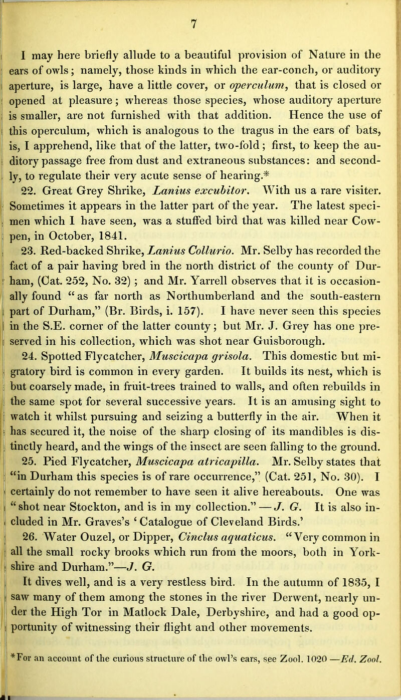 I may here briefly allude to a beautiful provision of Nature in the 11 ears of owls; namely, those kinds in which the ear-conch, or auditory I aperture, is large, have a little cover, or operculum, that is closed or „ opened at pleasure; whereas those species, whose auditory aperture i is smaller, are not furnished with that addition. Hence the use of i this operculum, which is analogous to the tragus in the ears of bats, is, I apprehend, like that of the latter, two-fold ; first, to keep the au- i; ditory passage free from dust and extraneous substances: and second- * ly, to regulate their very acute sense of hearing.* 22. Great Grey Shrike, Lanius excubitor. With us a rare visiter. , Sometimes it appears in the latter part of the year. The latest speci- ! men which I have seen, was a stuffed bird that was killed near Cow- pen, in October, 1841. 23. Red-backed Shrike, Lanius Collurio. Mr. Selby has recorded the I fact of a pair having bred in the north district of the county of Dur- I ham, (Oat. 252, No. 32); and Mr. Yarrell observes that it is occasion- I ally found “as far north as Northumberland and the south-eastern I part of Durham,” (Br. Birds, i. 157). I have never seen this species I in the S.E. corner of the latter county; but Mr. J. Grey has one pre- I served in his collection, which was shot near Guisborough. : 24. Spotted Flycatcher, Muscicapa grisola. This domestic but mi- gratory bird is common in every garden. It builds its nest, which is [I but coarsely made, in fruit-trees trained to walls, and often rebuilds in j the same spot for several successive years. It is an amusing sight to ji watch it whilst pursuing and seizing a butterfly in the air. When it ^ has secured it, the noise of the sharp closing of its mandibles is dis- I, tinctly heard, and the wings of the insect are seen falling to the ground. ! 25. Pied Flycatcher, Muscicapa atricapilla. Mr. Selby states that II “in Durham this species is of rare occurrence,” (Cat. 251, No. 30). I certainly do not remember to have seen it alive hereabouts. One was I “ shot near Stockton, and is in my collection.” — J. G. It is also in- cluded in Mr. Graves’s ‘Catalogue of Cleveland Birds.’ 26. Water Ouzel, or Dipper, Cinclus aquaticus. “Very common in I all the small rocky brooks which run from the moors, both in York- I shire and Durham.”—J. G. It dives well, and is a very restless bird. In the autumn of 1835, I saw many of them among the stones in the river Derwent, nearly un- der the High Tor in Matlock Dale, Derbyshire, and had a good op- portunity of witnessing their flight and other movements. *For an account of the curious structure of the owl’s ears, see Zool. 1020 —Ed. Zool.