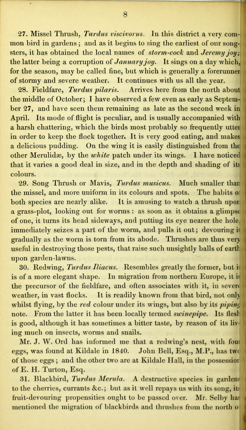 27. Missel Thrush, Tnrdus viscivorus. In this district a very com-; i mon bird in gardens ; and as it begins to sing the earliest of our song-i i sters, it has obtained the local names of storm-cock and Jeremy joy ;\ the latter being a corruption of January joy. It sings on a day which,, for the season, may be called fine, but which is generally a forerunner , of stormy and severe weather. It continues with us all the year. j 28. Fieldfare, Turdus pilaris. Arrives here from the north about j the middle of October; I have observed a few even as early as Septem- ber 27, and have seen them remaining as late as the second week in April. Its mode of flight is peculiar, and is usually accompanied with a harsh chattering, which the birds most probably so frequently utter in order to keep the flock together. It is very good eating, and makes a delicious pudding. On the wing it is easily distinguished from the other Merulidae, by the white patch under its wings. I have noticed I that it varies a good deal in size, and in the depth and shading of its ^ colours. 29. Song Thrush or Mavis, Turdus musicus. Much smaller thar the missel, and more uniform in its colours and spots. The habits oi: both species are nearly alike. It is amusing to watch a thrush upor a grass-plot, looking out for w’orms : as soon as it obtains a glimpse of one, it turns its head sideways, and putting its eye nearer the hole, immediately seizes a part of the worm, and pulls it out; devouring ii . gradually as the worm is torn from its abode. Thrushes are thus ver} useful in destroying those pests, that raise such unsightly balls of earti upon garden-lawns. 30. Redwing, Turdus Iliacus. Resembles greatly the former, but i: is of a more elegant shape. In migration from northern Europe, it i.'l the precursor of the fieldfare, and often associates with it, in seven < weather, in vast flocks. It is readily known from that bird, not onl} whilst flying, by the red colour under its wings, but also by its pipin<j ■> note. From the latter it has been locally termed swinepipe. Its flesl: is good, although it has sometimes a bitter taste, by reason of its liv- • ing much on insects, worms and snails. Mr. J. W. Ord has informed me that a redwing’s nest, with fom I eggs, was found at Kildale in 1840. John Bell, Esq., M.P., has tw( i of those eggs ; and the other two are at Kildale Hall, in the possessioi of E. H. Turton, Esq. 31. Blackbird, Turdus Merida. A destructive species in gardem | to the cherries, currants &c.; but as it well rejiays us with its song, it; j fruit-devouring propensities ought to be passed over. IMr. Selby ha; d mentioned the migiation of blackbirds and thrushes from the north o I