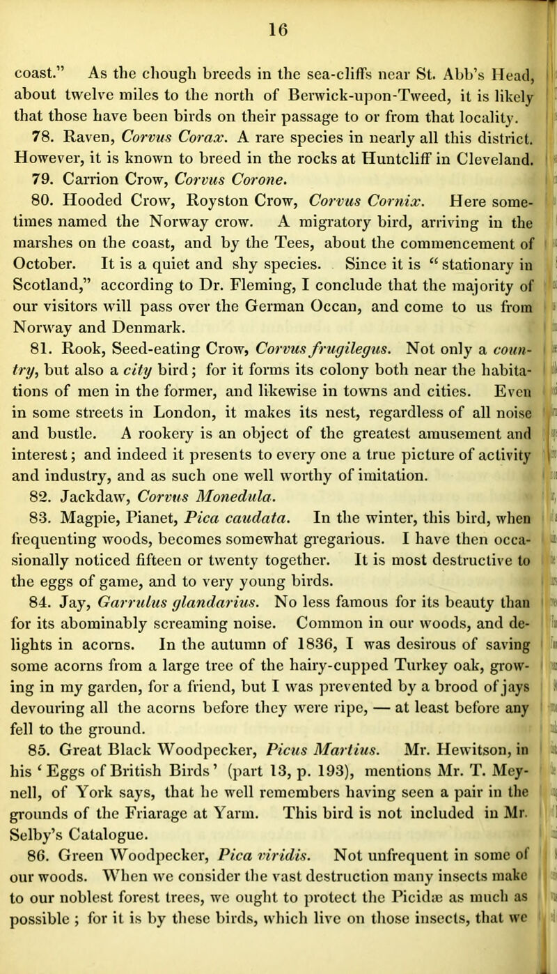 coast.” As the chough breeds in the sea-cliffs near St. Abb’s Head, about twelve miles to the north of Berwick-upon-Tweed, it is likely that those have been birds on their passage to or from that locality. 78. Raven, Corvm Corax. A rare species in nearly all this district. However, it is known to breed in the rocks at Huntcliff in Cleveland. 79. Carrion Crow, Corvus Cor one. 80. Hooded Crow, Royston Crow, Corvus Cornix. Here some- times named the Norway crow. A migratory bird, arriving in the marshes on the coast, and by the Tees, about the commencement of October. It is a quiet and shy species. Since it is “ stationary in Scotland,” according to Dr. Fleming, I conclude that the majority of our visitors will pass over the German Ocean, and come to us from Norway and Denmark. 81. Rook, Seed-eating Crow, Corvus frugilegus. Not only a coun- try, but also a city bird; for it forms its colony both near the habita- tions of men in the former, and likewise in towns and cities. Even in some streets in London, it makes its nest, regardless of all noise and bustle. A rookery is an object of the greatest amusement and interest; and indeed it presents to every one a true picture of activity and industry, and as such one well worthy of imitation. 82. Jackdaw, Corvus Monedula. 83. Magpie, Pianet, Pica caudata. In the winter, this bird, when frequenting woods, becomes somewhat gregarious. I have then occa- sionally noticed fifteen or twenty together. It is most destructive to the eggs of game, and to very young birds. 84. Jay, Garrulus glandarius. No less famous for its beauty than for its abominably screaming noise. Common in our woods, and de- lights in acoras. In the autumn of 1836, I was desirous of saving some acorns from a large tree of the hairy-cupped Turkey oak, grow- ing in my garden, for a friend, but I was prevented by a brood of jays devouring all the acorns before they were ripe, — at least before any fell to the ground. 85. Great Black Woodpecker, Picus Martins. Mi\ Hewitson, in his ‘Eggs of British Birds’ (part 13, p. 193), mentions Mr. T. Mey- i nell, of York says, that he well remembers having seen a pair in the ; grounds of the Friaragc at Yarm. This bird is not included in Mr. i Selby’s Catalogue. , 86. Green Woodpecker, Pica viridis. Not unfrequent in some of ! our woods. When we consider tlie vast destruction many insects make ' to our noblest forest trees, we ought to protect the Picidae as much as i possible ; for it is by these birds, which live on those insects, that wc < I-
