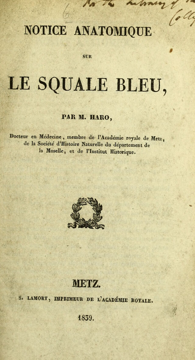digitised image 1