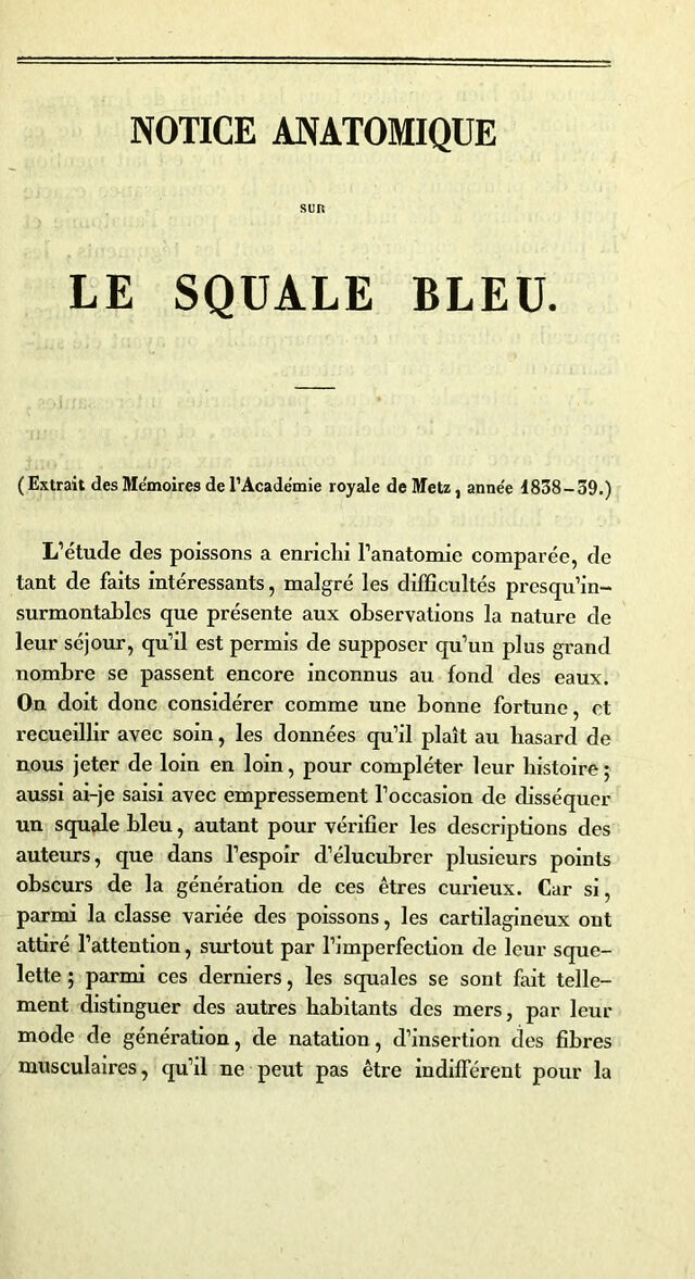 digitised image 3