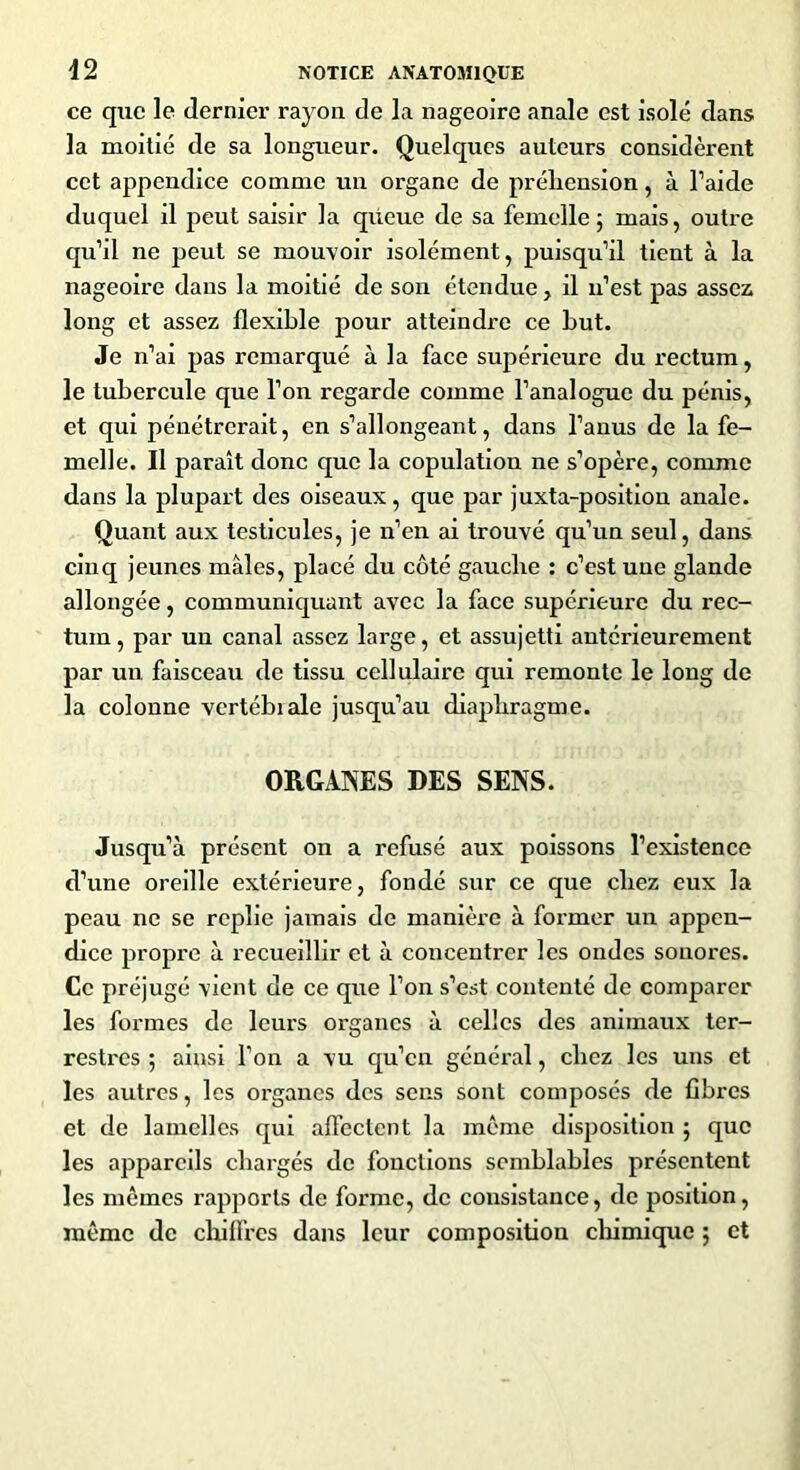 ce que le dernier rayon de la nageoire anale est isolé dans la moitié de sa longueur. Quelques auteurs considèrent cet appendice comme un organe de préhension, à l’aide duquel il peut saisir la qüeue de sa femelle ; mais, outre qu’il ne peut se mouvoir isolément, puisqu’il tient à la nageoire dans la moitié de son étendue, il n’est pas assez long et assez flexible pour atteindre ce but. Je n’ai pas remarqué à la face supérieure du rectum, le tubercule que l’on regarde comme l’analogue du pénis, et qui pénétrerait, en s’allongeant, dans l’anus de la fe- melle. Il paraît donc que la copulation ne s’opère, comme dans la plupart des oiseaux, que par juxta-position anale. Quant aux testicules, je n’en ai trouvé qu’un seul, dans cinq jeunes mâles, placé du côté gauche : c’est une glande allongée, communiquant avec la face supérieure du rec- tum, par un canal assez large, et assujetti antérieurement par un faisceau de tissu cellulaire qui remonte le long de la colonne vertébiale jusqu’au diaphragme. ORGANES DES SENS. Jusqu’à présent on a refusé aux poissons l’existence d’une oreille extérieure, fondé sur ce que chez eux la peau ne se replie jamais de manière à former un appen- dice propre à recueillir et à concentrer les ondes sonores. Ce préjugé vient de ce que l’on s’est contenté de comparer les formes de leurs organes à celles des animaux ter- restres 5 ainsi l’on a vu qu’en général, chez les uns et les autres, les organes des sens sont composés de fibres et de lamelles qui affectent la même disposition ; que les appareils chargés de fonctions semblables présentent les mêmes rapports de forme, de consistance, de position, même de chiffres dans leur composition chimique ; et