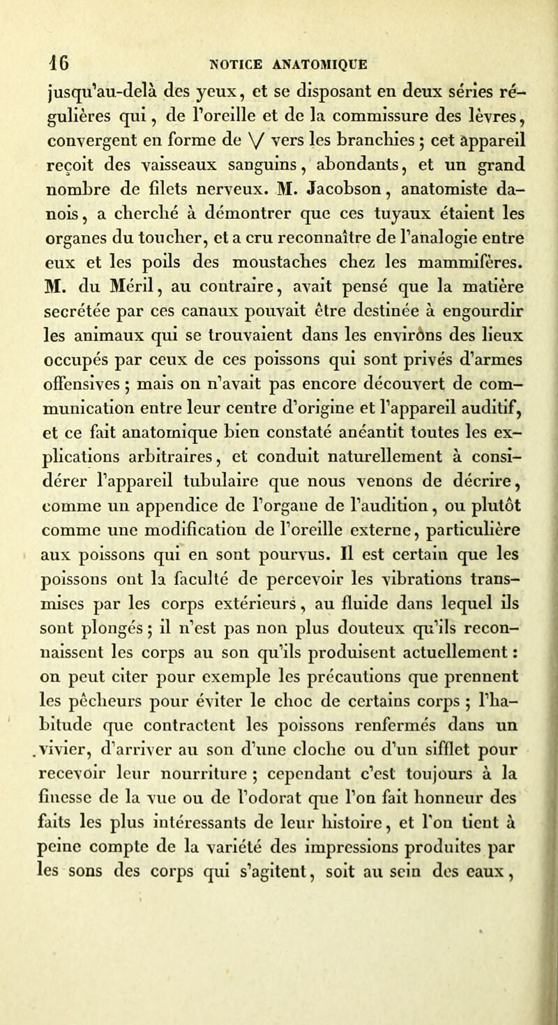 jusqu’au-delà des yeux, et se disposant en deux séries ré- gulières qui, de l’oreille et de la commissure des lèvres, convergent en forme de \/ vers les branchies ; cet appareil reçoit des vaisseaux sanguins, abondants, et un grand nombre de filets nerveux. M. Jacobson, anatomiste da- nois , a cherché à démontrer que ces tuyaux étaient les organes du toucher, et a cru reconnaître de l’analogie entre eux et les poils des moustaches chez les mammifères. M. du Méril, au contraire, avait pensé que la matière secrétée par ces canaux pouvait être destinée à engourdir les animaux qui se trouvaient dans les environs des lieux occupés par ceux de ces poissons qui sont privés d’armes offensives ; mais on n’avait pas encore découvert de com- munication entre leur centre d’origine et l’appareil auditif, et ce fait anatomique bien constaté anéantit toutes les ex- plications arbitraires, et conduit naturellement à consi- dérer l’appareil tubulaire que nous venons de décrire, comme un appendice de l’organe de l’audition, ou plutôt comme une modification de l’oreille externe, particulière aux poissons qui en sont pourvus. Il est certain que les poissons ont la faculté de percevoir les vibrations trans- mises par les corps extérieurs, au fluide dans lequel ils sont plongés ; il n’est pas non plus douteux qu’ils recon- naissent les corps au son qu’ils produisent actuellement : on peut citer pour exemple les précautions que prennent les pêcheurs pour éviter le choc de certains corps ; l’ha- bitude que contractent les poissons renfermés dans un vivier, d’arriver au son d’une cloche ou d’un sifflet pour recevoir leur nourriture ; cependant c’est toujours à la finesse de la vue ou de l’odorat que l’on fait honneur des faits les plus intéressants de leur histoire, et l'on tient à peine compte de la variété des impressions produites par les sons des corps qui s’agitent, soit au sein des eaux,