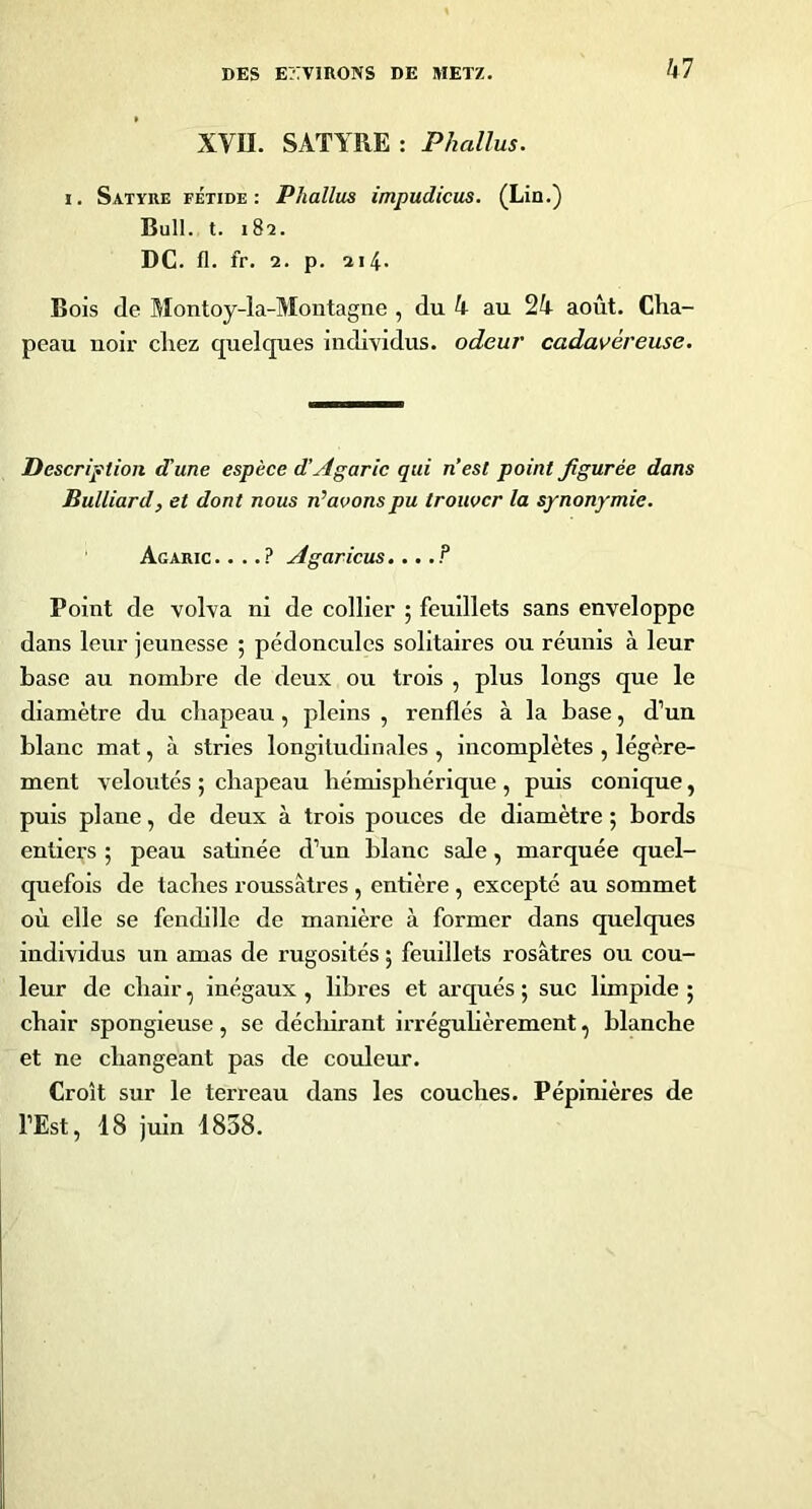 hl XVU. SATYRE: Phallus. I, Satyre fétide: Phallus impudicus. (Lin.) Bull. t. iSt. DC. fl. fr. a. p. 2i4‘ Bois de Montoy-la-Montagne , du i au 24 août. Cha- peau noir chez quelques individus, odeur cadavéreuse. Description d’une espèce dAgaric qui n’est point figurée dans Bulliard, et dont nous n’aoonspu trouver la synonymie. Agaric. . ..? Agaricus....? Point de volva ni de collier ; feuillets sans enveloppe dans leur jeunesse ; pédoncules solitaires ou réunis à leur base au nombre de deux ou trois , plus longs que le diamètre du chapeau, pleins , renflés à la base, d’un blanc mat, à stries longitudinales , Incomplètes , légère- ment veloutés ; chapeau hémisphérique , puis conique, puis plane, de deux à trois pouces de diamètre ; bords entiers 5 peau satinée d’un blanc sale, marquée quel- quefois de taches roussâtres , entière , excepté au sommet où elle se fendille de manière à former dans quelques individus un amas de rugosités ; feuillets rosâtres ou cou- leur de chair, inégaux , libres et arqués ; suc limpide ; chair spongieuse, se décliirant Irréguhèrement, blanche et ne changeant pas de couleur. Croît sur le terreau dans les couches. Pépinières de l’Est, 18 juin 1858.