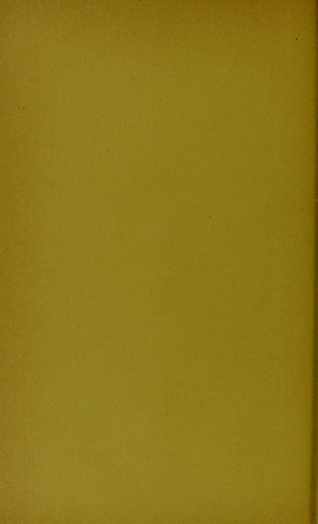 digitised image 2