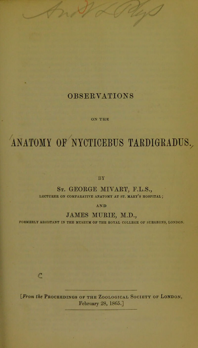 OBSERVATIONS ON THE ANATOMY OF NYCTICEBUS TARMGRADUS BY St. GEORGE MIVART, F.L.S., LECTURER ON COMPARATIVE ANATOMY AT ST. MARY’S HOSPITAL ; AND JAMES MURIE, M.D., FORMERLY ASSISTANT IN THE MUSEUM OF THE ROYAL COLLEGE OF SURGEONS, LONDON. r [From the Proceedings of the Zoological Society of London February 28, 1805.]