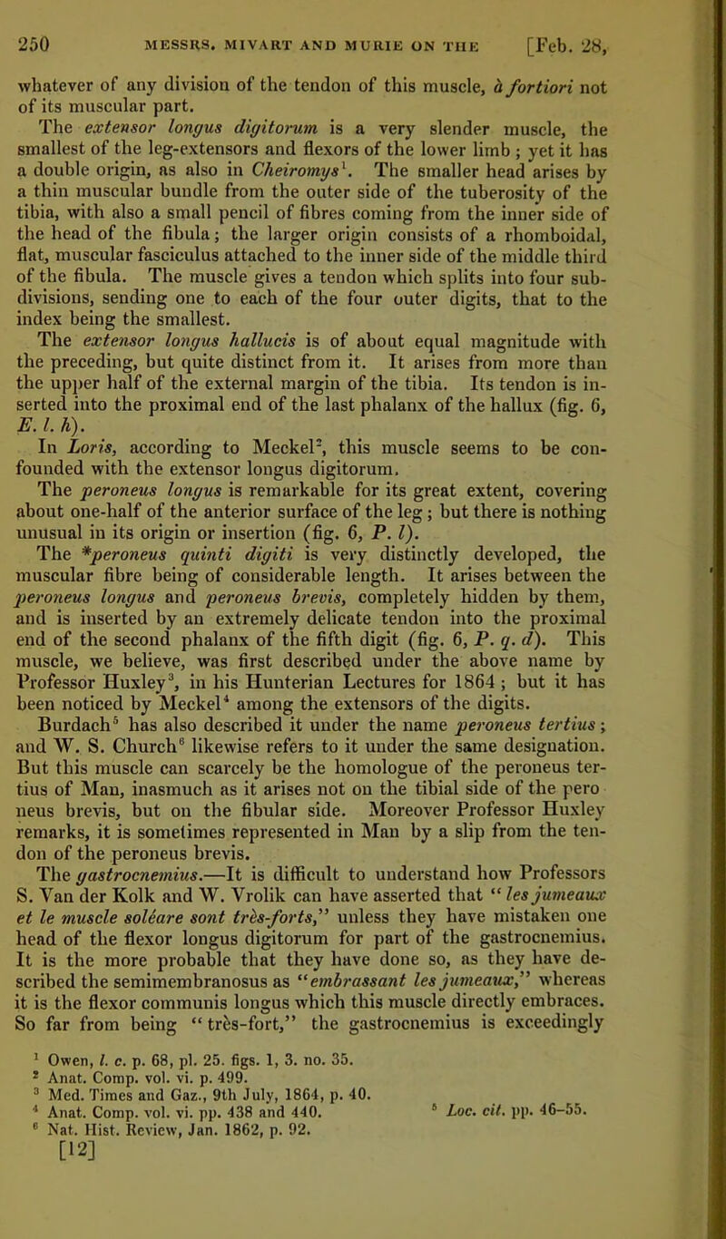 whatever of any division of the tendon of this muscle, a fortiori not of its muscular part. The extensor longus digitorum is a very slender muscle, the smallest of the leg-extensors and flexors of the lower limb ; yet it has a double origin, as also in Cheirotngs1. The smaller head arises by a thin muscular bundle from the outer side of the tuberosity of the tibia, with also a small pencil of fibres coming from the inner side of the head of the fibula; the larger origin consists of a rhomboidal, flat, muscular fasciculus attached to the inner side of the middle third of the fibula. The muscle gives a tendon which splits into four sub- divisions, sending one to each of the four outer digits, that to the index being the smallest. The extensor longus hallucis is of about equal magnitude with the preceding, but quite distinct from it. It arises from more than the upper half of the external margin of the tibia. Its tendon is in- serted into the proximal end of the last phalanx of the hallux (fig. 6, E. 1. h). In Loris, according to Meckel3, this muscle seems to be con- founded with the extensor longus digitorum. The peroneus longus is remarkable for its great extent, covering about one-half of the anterior surface of the leg ; but there is nothing unusual in its origin or insertion (fig. 6, P. 1). The *peroneus quinti digiti is very distinctly developed, the muscular fibre being of considerable length. It arises between the peroneus longus and peroneus brevis, completely hidden by them, and is inserted by an extremely delicate tendon into the proximal end of the second phalanx of the fifth digit (fig. 6, P. q. d). This muscle, we believe, was first described under the above name by Professor Huxley3, in his Hunterian Lectures for 1864 ; but it has been noticed by Meckel4 among the extensors of the digits. Burdach5 has also described it under the name peroneus tertius; and W. S. Church3 likewise refers to it under the same designation. But this muscle can scarcely be the homologue of the peroneus ter- tius of Man, inasmuch as it arises not on the tibial side of the pero neus brevis, but on the fibular side. Moreover Professor Huxley remarks, it is sometimes represented in Man by a slip from the ten- don of the peroneus brevis. The gastrocnemius.—It is difficult to understand how Professors S. Van der Kolk and W. Yrolik can have asserted that “ les jumeaux et le muscle soUare sont trcs-forts,” unless they have mistaken one head of the flexor longus digitorum for part of the gastrocnemius. It is the more probable that they have done so, as they have de- scribed the semimembranosus as “ embrassant les jumeaux,” whereas it is the flexor communis longus which this muscle directly embraces. So far from being “ tres-fort,” the gastrocnemius is exceedingly 1 Owen, l. c. p. 68, pi. 25. figs. 1, 3. no. 35. ! Anat. Comp. vol. vi. p. 499. 3 Med. Times and Gaz., 9th July, 1864, p. 40. 4 Anat. Comp. vol. vi. pp. 438 and 440. 0 Nat. Hist. Review, Jan. 1862, p. 92. [12] 8 Loc. cit. pp. 46-55.