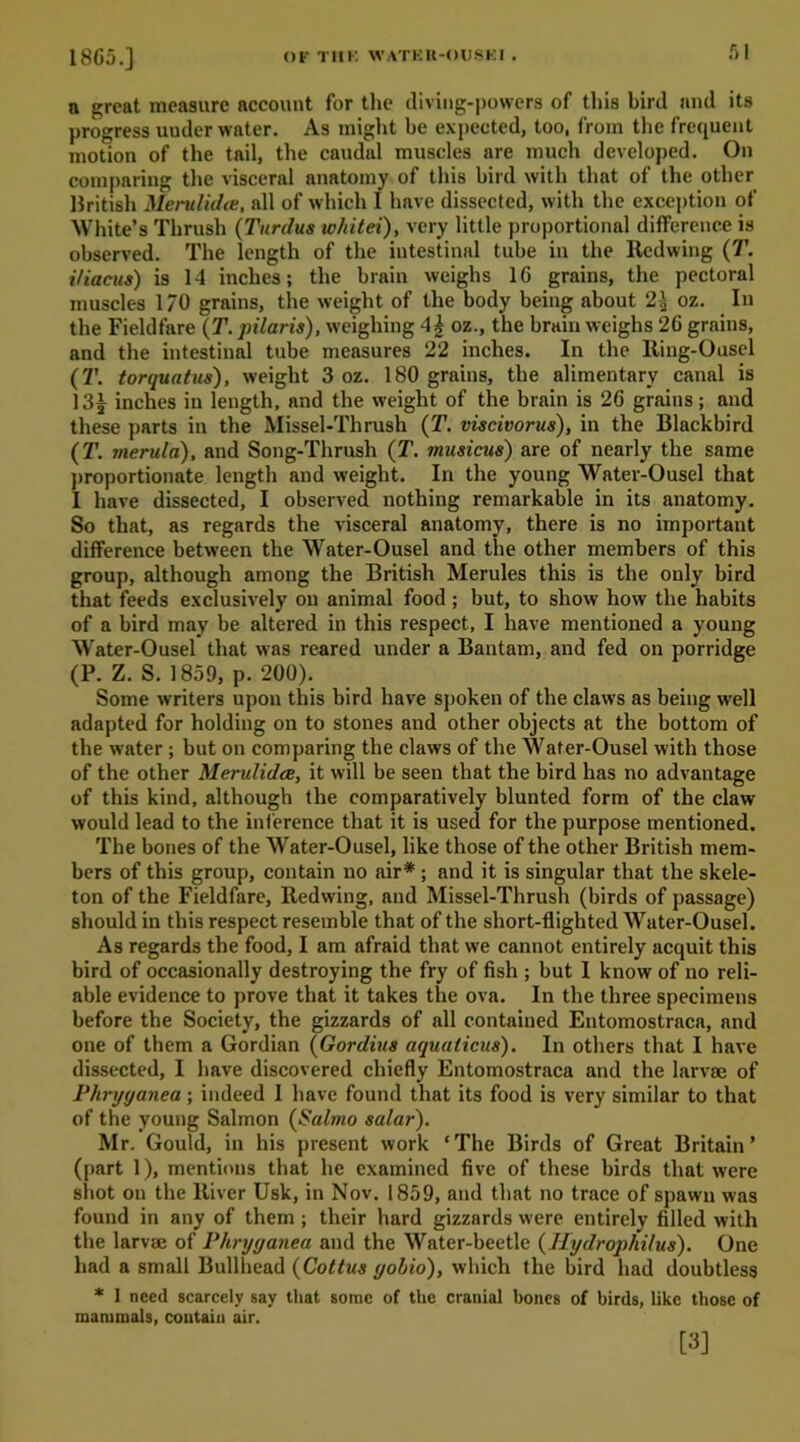 OF Till-' WATEU-OUSKI . I860.] n great measure account for the diving-powers of this bird and its progress uuder water. As might be expected, too, from the frequent motion of the tail, the caudal muscles are much developed. On comparing the visceral anatomy of this bird with that of the other British Merulidre, all of which I have dissected, with the exception of White’s Thrush (Turdus whitei), very little proportional difference is observed. The length of the intestinal tube in the Redwing (T. Hiacus) is 14 inches; the brain weighs 16 grains, the pectoral muscles I/O grains, the weight of the body being about 2\ oz. In the Fieldfare (T. pilaris), weighing 4£ oz., the brain weighs 26 grains, and the intestinal tube measures 22 inches. In the Ring-Ousel (T. torquatus), weight 3 oz. 180 grains, the alimentary canal is 13£ inches in length, and the weight of the brain is 26 grains; and these parts in the Missel-Thrush (T. viscivorus), in the Blackbird (7T. merula), and Song-Thrush (T. musicus) are of nearly the same proportionate length and weight. In the young Water-Ousel that I have dissected, I observed nothing remarkable in its anatomy. So that, as regards the visceral anatomy, there is no important difference between the Water-Ousel and the other members of this group, although among the British Merules this is the only bird that feeds exclusively on animal food; but, to show how the habits of a bird may be altered in this respect, I have mentioned a young Water-Ousel that was reared under a Bantam, and fed on porridge (P. Z. S. 1859, p. 200). Some writers upon this bird have spoken of the claws as being well adapted for holding on to stones and other objects at the bottom of the water; but on comparing the claws of the Water-Ousel with those of the other Merulidce, it will be seen that the bird has no advantage of this kind, although the comparatively blunted form of the claw would lead to the inference that it is used for the purpose mentioned. The bones of the Water-Ousel, like those of the other British mem- bers of this group, contain no air* ; and it is singular that the skele- ton of the Fieldfare, Redwing, and Missel-Thrush (birds of passage) should in this respect resemble that of the short-flighted Water-Ousel. As regards the food, I am afraid that we cannot entirely acquit this bird of occasionally destroying the fry of fish ; but I know of no reli- able evidence to prove that it takes the ova. In the three specimens before the Society, the gizzards of all contained Entomostraca, and one of them a Gordian (Gordius aqualicus). In others that I have dissected, I have discovered chiefly Entomostraca and the larvae of Phryyanea; indeed 1 have found that its food is very similar to that of the young Salmon (Salmo salar). Mr. Gould, in his present work ‘The Birds of Great Britain’ (part 1), mentions that he examined five of these birds that were shot on the River Usk, in Nov. 1859, and that no trace of spawn was found in any of them ; their hard gizzards were entirely filled with the larvae of Phryyanea and the Water-beetle (Ilydrophilus). One had a small Bullhead (Cottus yobio), which the bird had doubtless * I need scarcely say that some of the cranial bones of birds, like those of mammals, contain air. [3]