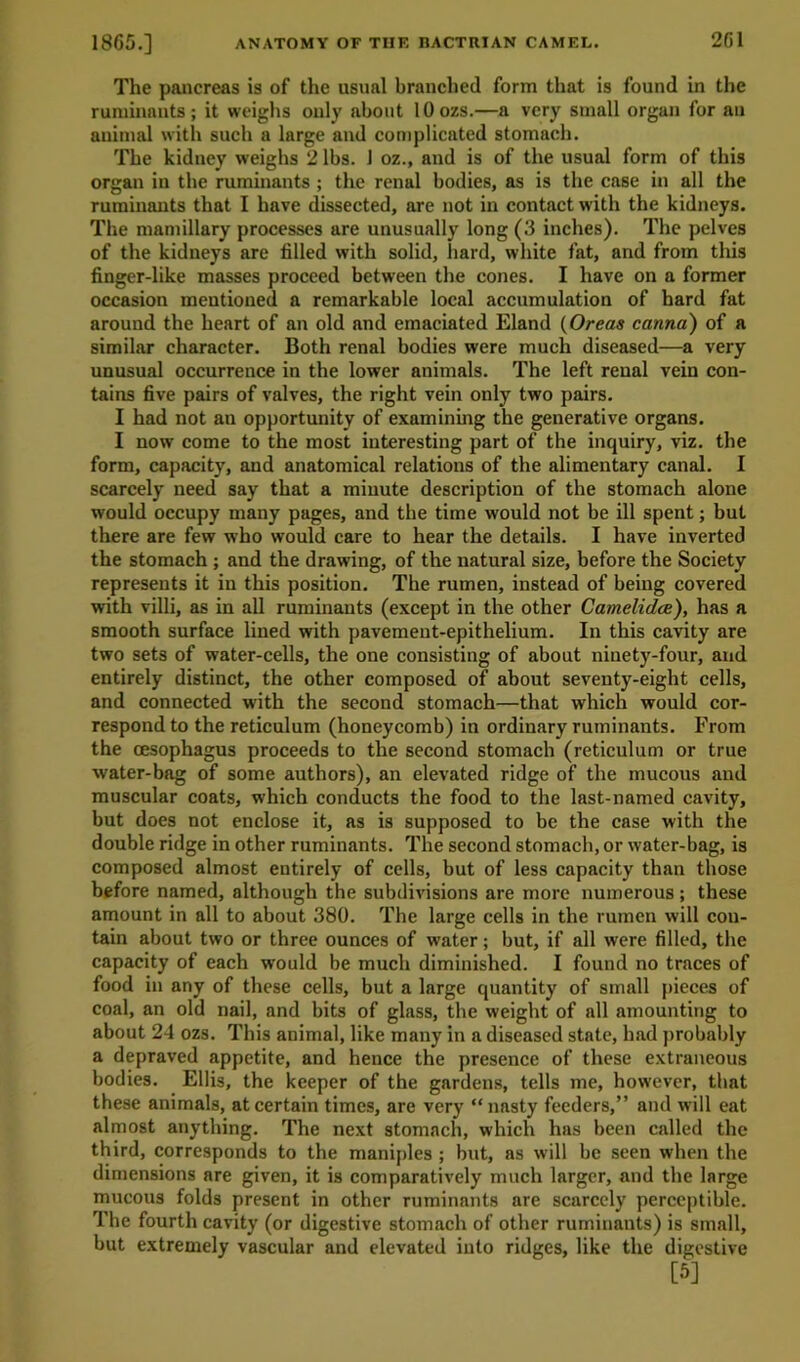 The pancreas is of the usual branched form that is found in the ruminants; it weighs only about lOozs.—a very small organ for an animal with such a large and complicated stomach. The kidney weighs 2 lbs. J oz., and is of the usual form of this organ in the ruminants ; the renal bodies, as is the case in all the ruminants that I have dissected, are not in contact with the kidneys. The mamillary processes are unusually long (3 inches). The pelves of the kidneys are filled with solid, hard, white fat, and from this finger-like masses proceed between the cones. I have on a former occasion mentioned a remarkable local accumulation of hard fat around the heart of an old and emaciated Eland (Oreas canna) of a similar character. Both renal bodies were much diseased—a very unusual occurrence in the lower animals. The left renal vein con- tains five pairs of valves, the right vein only two pairs. I had not an opportunity of examining the generative organs. I now come to the most interesting part of the inquiry, viz. the form, capacity, and anatomical relations of the alimentary canal. I scarcely need say that a minute description of the stomach alone would occupy many pages, and the time would not be ill spent; but there are few who would care to hear the details. I have inverted the stomach ; and the drawing, of the natural size, before the Society represents it in this position. The rumen, instead of being covered with villi, as in all ruminants (except in the other Camelidce), has a smooth surface lined with pavement-epithelium. In this cavity are two sets of water-cells, the one consisting of about ninet3'-four, and entirely distinct, the other composed of about seventy-eight cells, and connected with the second stomach—that which would cor- respond to the reticulum (honeycomb) in ordinary ruminants. From the oesophagus proceeds to the second stomach (reticulum or true water-bag of some authors), an elevated ridge of the mucous and muscular coats, which conducts the food to the last-named cavity, but does not enclose it, as is supposed to be the case with the double ridge in other ruminants. The second stomach, or water-bag, is composed almost entirely of cells, but of less capacity than those before named, although the subdivisions are more numerous ; these amount in all to about 380. The large cells in the rumen will con- tain about two or three ounces of water; but, if all were filled, the capacity of each would be much diminished. I found no traces of food in any of these cells, but a large quantity of small pieces of coal, an old nail, and bits of glass, the weight of all amounting to about 24 ozs. This animal, like many in a diseased state, had probably a depraved appetite, and hence the presence of these extraneous bodies. Ellis, the keeper of the gardens, tells me, however, that these animals, at certain times, are very “nasty feeders,” and will eat almost anything. The next stomach, which has been called the third, corresponds to the maniples ; but, as will be seen when the dimensions are given, it is comparatively much larger, and the large mucous folds present in other ruminants are scarcely perceptible. The fourth cavity (or digestive stomach of other ruminants) is small, but extremely vascular and elevated into ridges, like the digestive