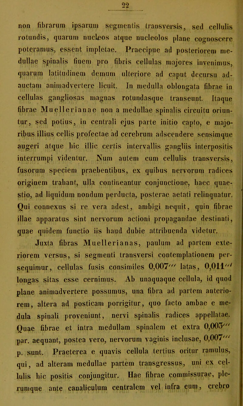 non fibrarum ipsarum segmentis transversis, sed cellulis rotundis, quarum nucleos atque nucleolos plane cognoscere poteramus, essent impletae. Praecipue ad posteriorem me- dullae spinalis finem pro fibris cellulas majores invenimus, quarum latitudinem demum ulteriore ad caput decursu ad- auctam animadvertere licuit. In medulla oblongata fibrae in cellulas gangliosas magnas rotundasque transeunt. Itaque fibrae Muellerianae non a medullae spinalis circuitu oriun- tur, sed potius, in centrali ejus parte initio capto, e majo- ribus illius cellis profectae ad cerebrum adseendere sensimque augeri atque hic illic certis intervallis gangliis interpositis interrumpi videntur. Num autem cum cellulis transversis, fusorum speciem praebentibus, ex quibus nervorum radices originem trahant, ulla contineantur conjunctione, haec quae- stio, ad liquidum nondum perducta, posterae aetati relinquatur. Qui connexus si re vera adest, ambigi nequit, quin fibrae illae apparatus sint nervorum actioni propagandae destinati, quae quidem functio iis haud dubie attribuenda videtur. Juxta fibras Muell eri anas, paulum ad partem exte- riorem versus, si segmenti transversi contemplationem per- sequimur, cellulas fusis consimiles OjOOT' latas, OjQll' longas sitas esse cernimus. Ab unaquaque cellula, id quod plane animadvertere possumus, una fibra ad partem anterio- rem, altera ad posticam porrigitur, quo facto ambae e me- dula spinali proveniunt, nervi spinalis radices appellatae. Quae fibrae et intra medullam spinalem et extra 0,005' par. aequant, postea vero, nervorum vaginis inclusae, 0,007' p. sunt. Praeterea e quavis cellula tertius oritur ramulus, qui, ad alteram medullae partem transgressus, uni ex cel- lulis hic positis conjungitur. Hae fibrae commissurae, ple- rumque ante canaliculum centralem vel inlra eum, crebio