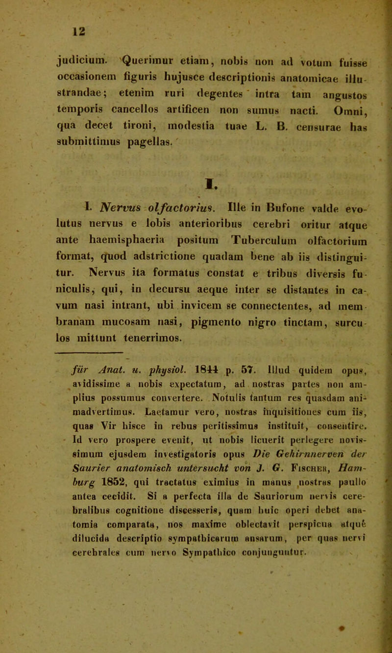 judicium. Querimur etiam, nobis non ad votum fuisse occasionem figuris hujusce descriptionis anatomicae iliu strandae; etenim ruri degentes ' intra tam angustos temporis cancellos arlificen non sumus nacti. Omni, qua decet tironi, modestia tuae L. B. censurae has submittimus pagellas. I. I. Nervus olfactorius. Ille in Bufone valde evo- lutus nervus e lobis anterioribus cerebri oritur atque ante haemisphaeria positum Tuberculum olfactorium format, quod adstrictione quadam bene ab iis distingui- tur. Nervus ita formatus constat e tribus diversis fu niculis, qui, in decursu aeque inter se distantes in ca- vum nasi intrant, ubi invicem se connectentes, ad mein branam mucosam nasi, pigmento nigro tinctam, surcu los mittunt tenerrimos. fur Anat. u. physiol. 1844 p. 57. Illud quidem opus, avidissime a nobis expectaturo, ad nostras partes non am- plius possumus convertere. Notulis tantum res quasdam ani- madvertimus. Laetamur vero, nostras inquisitiones cura iis, quag Vir hisce in rebus peritissimus instituit, consentire. Id vero prospere evenit, ut nobis licuerit perlegere novis- simum ejusdem investigatoris opus Die Gehirnnerven der Saurier anatomisch untersucht von J. G. Fischeh, Ham- burg 1852, qui tractatus eximius in manus .nostras paullo antea cecidit. Si a perfecta illa de Sauriorum nervis cere- bralibus cognitione discesseris, quam huic operi debet ana- tomia comparata, nos maxime oblectavit perspicua atqufe dilucida descriptio sympathicarum ansarum, per quas nervi cerebrales cum nervo Sympathico conjunguntur.