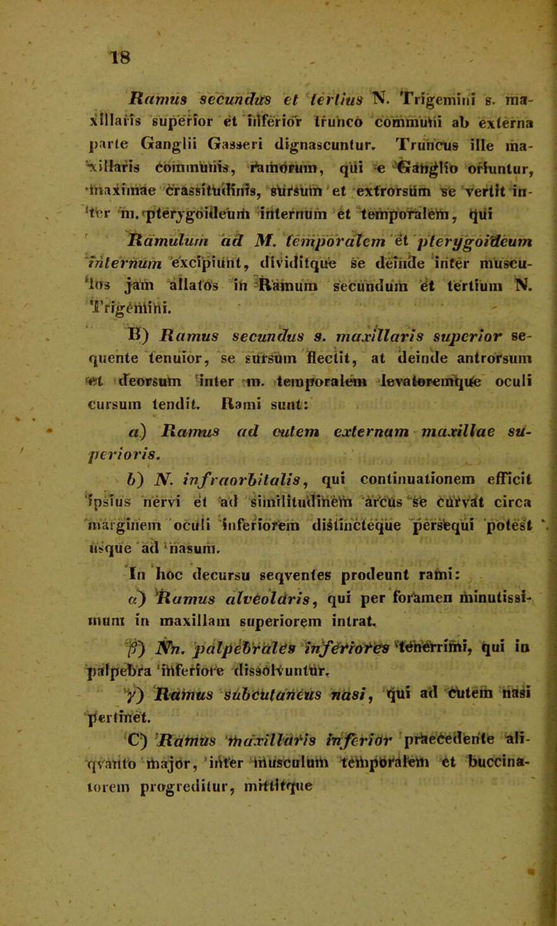 Ramus secundits et tertius N. Trigemini s. ma- xillaris superior et fifrerior trunco commuhi ab externa parte Ganglii Gasseri dignascuntur. Truncus ille ma- millaris communis, Camorum, qui e Ganglio orhintur, •maximae crassitudinis, sursum et extrorsiim se vertit in- iter m.<pterj-gdifleurii internum et temporalem, tjui Ramulum ad M. temporalem et pterygoideum internum excipiunt, dividitque se deiiide iriter muscu- los jam allatos in Ramum secundum et tertium N. Trigemini. B) Ramus secundus s. maxillaris superior se- quente tenuior, se sursum flectit, at deinde antrorsuin <et deorsum rinter m. temporalem ievatoreinque oculi cursum tendit. Rami sunt: a) Ramus ad culem externam maxillae su- perioris. &) N. infraorbitalis, qui continuationem efficit 'ipsius nervi et ad siinrlitudinefti arciis sJe curvalt circa marginem oculi inferiorem diiiiiicteque perstequi potest usque ad ‘nasum. In hoc decursu seqventes prodeunt rami: Ramus alveolaris, qui per foramen minutissi- mum in maxillam superiorem intrat. 'f>') Nn. palpebrales inferiores 'tenerrimi, qui in palpebra ‘inferiore dissolvuntur, y) Ramus subcutaneus nasi, »jui ad £utem nasi pertinet. C) Ramus 'rhdxilldris inferior praecedente ali- qvanto major, ‘inter musculum tefliporalem et buccina- torem progreditur, mrttltque