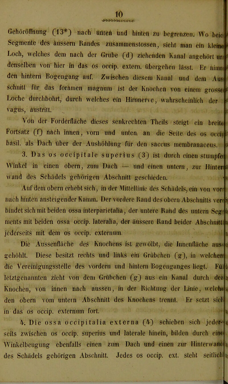 r> ö o o GehöiöfTnung- (^13*3 nach Untfcri und hinten zu begrenzen. Wo beio Segmente des äussern Randes zusammenstossen, sieht man ein kleine Loch, welches dem nach der Grube (d) ziehenden Kanal angehört ur denselben von' hier in das os occip. extern, übergehen lässt. Er nimm den hintern Bogengang auf. Zwischen diesem Kanal und dem Am schnitt für das foramen magnmn ist der Knochen von einem grosse. Loche durchbohrt, durch welches ein Hirnnerve, wahrscheinlich der vagus, austritt. Von der Forderfläche dieses senkrechten Theils steigt ein breit« Fortsatz (f) nach innen, vorn und unten, an die Seile des os occip basil. als Dach über der Aushöhlung für den saccus membranaceus 3. Das os occipitale superius (3) ist durch einen stumpfe Winkel in einen obern, zum Dach — und einen untern, zur Hinter^ wand des Schädels gehörigen Abschnitt geschieden. Auf dem obern erhebt sich, in der Mittellinie des Schädels, ein von von nach hinten ansteigender Kamm. Der vordere Rand des obern Abschnitts ven bindet sich mit beiden ossa interparietalia, der untere Rand des untern Seg: ments mit beiden ossa occip. lateralia, der äussere Rand beider Abschnitt ei. jederseits mit dem os occip. externmn. Die Aussenfläche des Knochens ist gewölbt, die Innenfläche aus- gehöhlt. Diese besitzt rechts und links ein Grübchen (g), in welchem die Vereinigungsstelle des vordem und hintern Bogenganges liegt. Füj|4 letztgenannten zieht von dem Grübchen (g) aus ein Kanal durch dei Knochen, von innen nach aussen, in der Richtung der Linie, welche den obern vom untern Abschnitt des Knochens trennt. Er setzt siel in das os occip. externum fort. 4. Die ossa occipitalia externa (4) schieben sich jeder- seits zwischen os occip. superius und laterale hinein, bilden durch eint Winkelbeugung ebenfalls einen zum Dach und einen zur Hinterwanc m des Schädels gehörigen Abschnitt. Jedes os occip. ext. steht seitlich Qi