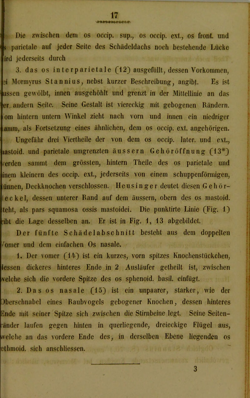 »OQO-OCO «\ Die zwischen dem os occip. sup., os occip. ext., os front, und s parietale auf jeder Seite des Schädeldachs noch bestehende Lücke ird jederseits durch 3. das os interparietale ([123 ausgefällt, dessen Vorkommen, 3i Mormyrus Stannius, nebst kurzer Beschreibung, angibt. Es ist ussen gewölbt, innen ausgehöhlt und grenzt in der Mittellinie an das er andern Seite. Seine Gestalt ist viereckig mit gebogenen Rändern, om hintern untern Winkel zieht nach vorn und innen ein niedriger amm, als Fortsetzung eines ähnlichen, dem os occip. ext. angchörigcn. Ungefähr drei Viertheile der von dem os occip. later, und ext., lastoid. und parietale umgrenzten äussern Gehöröffnung (13*3 .erden sammt dem grössten, hintern Theile des os parietale und inem kleinern des occip. ext., jederseits von einem schuppenförmigen, ünnen, Deckknochen verschlossen. Ileus i n ge r deutet diesen Gehör- leckel, dessen unterer Rand auf dem äussern, obern des os mastoid. teht, als pars squamosa ossis mastoidei. Die punktirte Linie (Fig. 13 ;ibt die Lage desselben an. Er ist in Fig. 1, 13 abgebildet. Der fünfte Schädelabschnitt besteht aus dem doppelten /omer und dem einfachen Os nasale. 1. Der vomer (143 ist ein kurzes, vorn spitzes Knochenstückchen, Jessen dickeres hinteres Ende in 2 Ausläufer getheilt ist, zwischen velche sich die vordere Spitze des os sphenoid. basil. einfügt. 2. Das os nasale (153 ist ein unpaarer, starker, wie der 3berschnabcl eines Raubvogels gebogener Knochen, dessen hinteres Ende mit seiner Spitze sich zwischen die Stirnbeine legt. Seine Seiten- •änder laufen gegen hinten in qucrlicgende, dreieckige Flügel aus, ►velche an das vordere Ende des, in derselben Ebene liegenden os ethmoid. sich anschliessen. I • 3