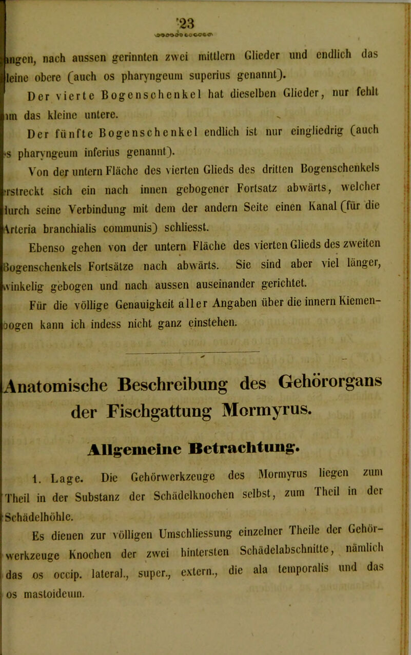 O OOCO««' uigcn, nach aussen gerinnten zwei mittlern Glieder und endlich das leine obere (auch os pharyngeuiu superius genannt). Der vierte Bogenschcnkcl hat dieselben Glieder, nur fehlt un das kleine untere. Der fünfte Bogenschcnkcl endlich ist nur eingliedrig (auch <s pharyngeuiu inferius genannt). Von der untern Fläche des vierten Glieds des dritten Bogenschenkels *rst reckt sich ein nach innen gebogener Fortsatz abwärts, welcher lurch seine Verbindung mit dem der andern Seite einen Kanal (für die Arteria branchialis communis) schliesst. Ebenso gehen von der untern Fläche des vierten Glieds des zweiten Bogenschenkels Fortsätze nach abwärts. Sie sind aber viel länger, winkelig gebogen und nach aussen auseinander gerichtet. Für die völlige Genauigkeit aller Angaben über die innern Kiemen- oogen kann ich indess nicht ganz einstehen. Anatomische Beschreibung des Gehörorgans der Fischgattung Mormyrus. Allgemeine Betrachtung. 1. Lage. Die Gehörwerkzeuge des Mormyrus liegen zum Theil in der Substanz der Schädelknochen selbst, zum Iheil in der 'Schädelhöhle. Es dienen zur völligen Umschliessung einzelner Thcile der Gehör- werkzeuge Knochen der zwei hintersten Schädelabschnitte, nämlich das os occip. lateral, super, extern, die ala lemporalis und das os mastoideum.