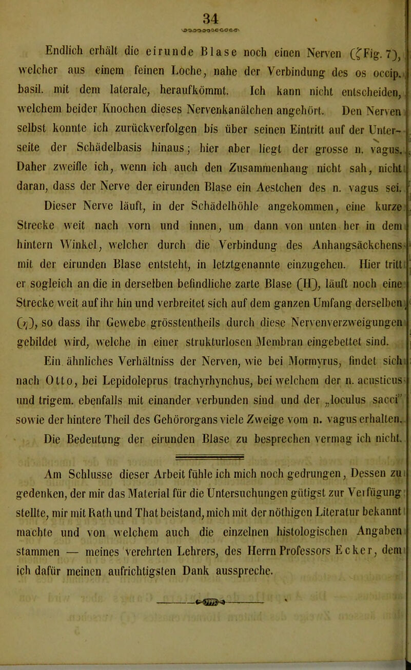 vD'^wyt» »o ac co «/«'> Endlich erhält die eirunde Blase noch einen Nerven (£Fig. 7), j welcher aus einem feinen Loche, nahe der Verbindung des os occip. basil. mit dem laterale, heraufkömmt. Ich kann nicht entscheiden, welchem beider Knochen dieses Nervenkanälchen angehört. Den Nerven selbst konnte ich zurückverfolgen bis über seinen Eintritt auf der Unter- seite der Schädelbasis hinaus; hier aber liegt der grosse n. vagus. Daher zweifle ich, wenn ich auch den Zusammenhang nicht sah, nicht daran, dass der Nerve der eirunden Blase ein Aestchen des n. vagus sei. Dieser Nerve läuft, in der Schädelhöhle angekommen, eine kurze Strecke weit nach vorn und innen, um dann von unten her in dem hintern Winkel, welcher durch die Verbindung des Anhangsäckchens- mit der eirunden Blase entsteht, in letztgenannte einzugehen. Hier tritt er sogleich an die in derselben befindliche zarte Blase (II), läuft noch eine Strecke weit auf ihr hin und verbreitet sich auf dem ganzen Umfang derselben, (?;), so dass ihr Gewebe grösstentheils durch diese Nervenverzweigungen gebildet wird, welche in einer strukturlosen Membran eingebettet sind. Ein ähnliches Verhältniss der Nerven, wie bei Mormvrus, findet sich nach Otto, bei Lepidoleprus trachyrhynchus, bei welchem der n. acusticus und trigem. ebenfalls mit einander verbunden sind und der „Ioculus sacci” sowie der hintere Theil des Gehörorgans viele Zweige vom n. vagus erhalten. Die Bedeutung der eirunden Blase zu besprechen vermag ich nicht. Am Schlüsse dieser Arbeit fühle ich mich noch gedrungen, Dessen zu gedenken, der mir das Material für die Untersuchungen gütigst zur Verfügung stellte, mir mit Rath und That beistand, mich mit der nöthigen Literatur bekannt machte und von welchem auch die einzelnen histologischen Angaben stammen — meines verehrten Lehrers, des Herrn Professors Ecker, dem ich dafür meinen aufrichtigsten Dank ausspreche. * I