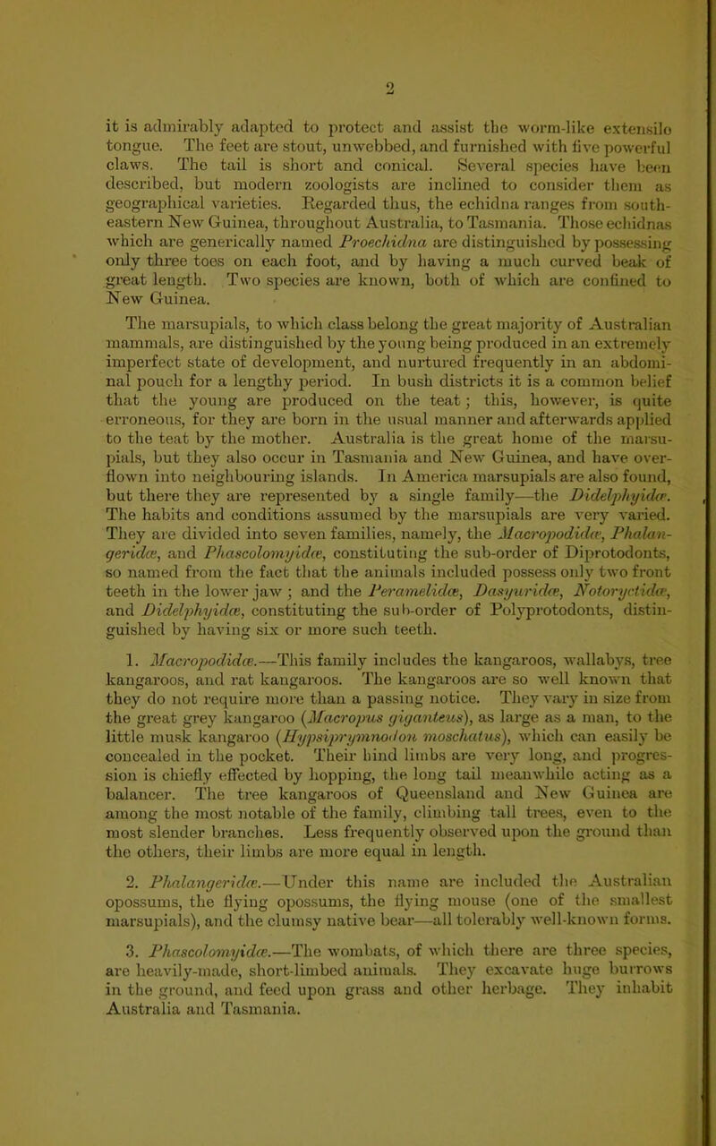 it is admirably adapted to protect and assist the worm-like extensile tongue. The feet are stout, unwebbed, and furnished with five powerful claws. The tail is short and conical. Several species have been described, but modern zoologists are inclined to consider them as geographical varieties. Regarded thus, the echidna ranges from south- eastern New Guinea, throughout Australia, to Tasmania. Those echidnas which are generieally named Proechiclna are distinguished by possessing only three toes on each foot, and by having a much curved beak of great length. Two species are known, both of which are confined to New Guinea. The marsupials, to which class belong the great majority of Australian mammals, are distinguished by the young being produced in an extremely imperfect state of development, and nurtured frequently in an abdomi- nal pouch for a lengthy period. In bush districts it is a common belief that the young are produced on the teat; this, however, is quite erroneous, for they are born in the usual manner and afterwards applied to the teat by the mother. Australia is the great home of the marsu- pials, but they also occur in Tasmania and New Guinea, and have over- flown into neighbouring islands. In America marsupials are also found, but there they are represented by a single family—the Didelphyidce. The habits and conditions assumed by the marsupials are very varied. They are divided into seven families, namely, the Macropodidce, Phalcni- geridee, and Phascolomyidce, constituting the sub-order of Diprotodonts, so named from the fact that the animals included possess only two front teeth in the lower jaw ; and the Perameliclce, Dasyuridce, Notoryctidce, and Didelphyidce, constituting the sub-order of Polyprotodonts, distin- guished by having six or more such teeth. 1. Macropodidce.—This family includes the kangaroos, wallabys, tree kangaroos, and rat kangaroos. The kangaroos are so well known that they do not require more than a passing notice. They vary in size from the great grey kangaroo {Macropus giyanteus), as large as a man, to the little musk kangaroo {Hypsiprymnoi/on moschatus), which can easily be concealed in the pocket. Their hind limbs are very long, and progres- sion is chiefly effected by hopping, the long tail meanwhile acting as a balancer. The tree kangaroos of Queensland and New Guinea are among the most notable of the family, climbing tall trees, even to the most slender branches. Less frequently observed upon the ground than the others, their limbs are more equal in length. 2. Phalangeridce.—Under this name are included the Australian opossums, the flying opossums, the flying mouse (one of the smallest marsupials), and the clumsy native bear—all tolerably well-known forms. 3. Phascolomyiclce.—The wombats, of which there are three species, are heavily-made, short-limbed animals. They excavate huge burrows in the ground, and feed upon grass and other herbage. They inhabit Australia and Tasmania.