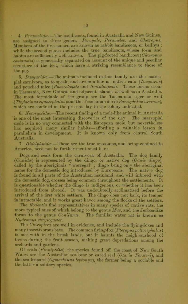 4. Peramelidie.—The bandicoots, found in Australia and New Guinea, are assigned to three genera—Peru yule, Percimeles, and Clueropus. Members of the first-named are known as rabbit bandicoots, or beilbys ; while the second genus includes the true bandicoots, whose form and habits are sufficiently well known. The pig-footed bandicoot (Chceropus castanotis) is generically separated on account of the unique and peculiar structure of the feet, which have a striking resemblance to those of the pig. 5. Dasyuridce.—The animals included in this family are the marsu- pial carnivora, so to speak, and are familiar as native cats (Dasyurvs) and pouched mice (Phascologale and Sminthojisis). These forms occur in Tasmania, New Guinea, and adjacent islands, as well as in Australia. The most formidable of the group are the Tasmanian tiger or wolf ( Thylacinus cynoceplied ns)and the Tasmanian devil(Sarcophilus ursinus), which are confined at the present day to the colony indicated. 6. Notoryctidce.—The recent finding of a mole-like animal in Australia is one of the most interesting discoveries of the day. The marsupial mole is in no way connected with the European mole, but nevertheless has acquired many similar habits—affording a valuable lesson in parallelism in development. It is known only from central South Australia. 7. DicleIphyidee.—These are the true opossums, and being confined to America, need not be further mentioned hexe. Dogs and seals form the carnivora of Australia. The dog family (Cam dee) is represented by the dingo, or native dog (Canis dingo), called by the aboriginals “worregal”; dingo being only the aboriginal name for the domestic dog introduced by Europeans. The native dog is found in all parts of the Australian mainland, and will inbreed with the domestic dog, crosses being common throughout the settlements. It is questionable whether the dingo is indigenous, or whether it has been introduced from abroad. It was undoubtedly acclimatised before the arrival of the first white settlers. The dingo does not bark, its temper is intractable, and it works great havoc among the flocks of the settlers. The Rodentia find representatives in many species of native rats, the more typical ones of which belong to the genus Mus, and the Jerboa-like forms to the genus Conilurus. The familiar water rat is known as IJydromys chrysog aster. The Cliiroptera are well in evidence, and include the flying-foxes and many insectivorous bats. The common flying-fox (Pteropuspoliocephalus) is met with in the brush lands, but it haunts the neighbourhood of towns during the fruit season, making great depredations among the orchards and gardens. Of seals (Pinnipedia), the species found off the coast of New South Wales are the Australian sea bear or eared seal (Oteiria Forsteri), and the sea leopard (Ogmorhinus leptonyx), the former being a sociable and the latter a solitary species.